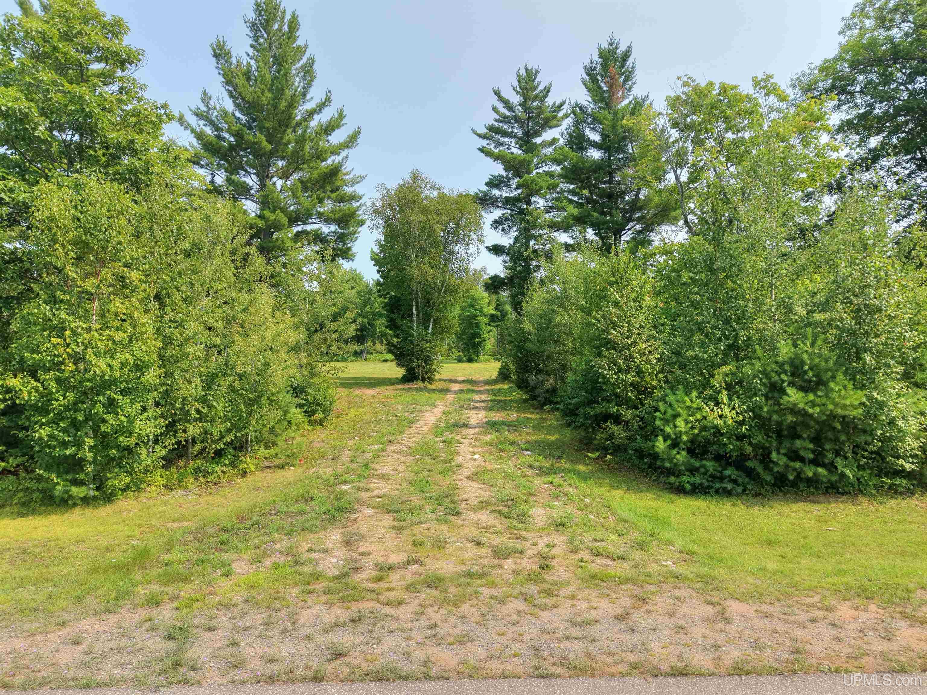 2360 Goldmine Creek Drive Property Photo 2
