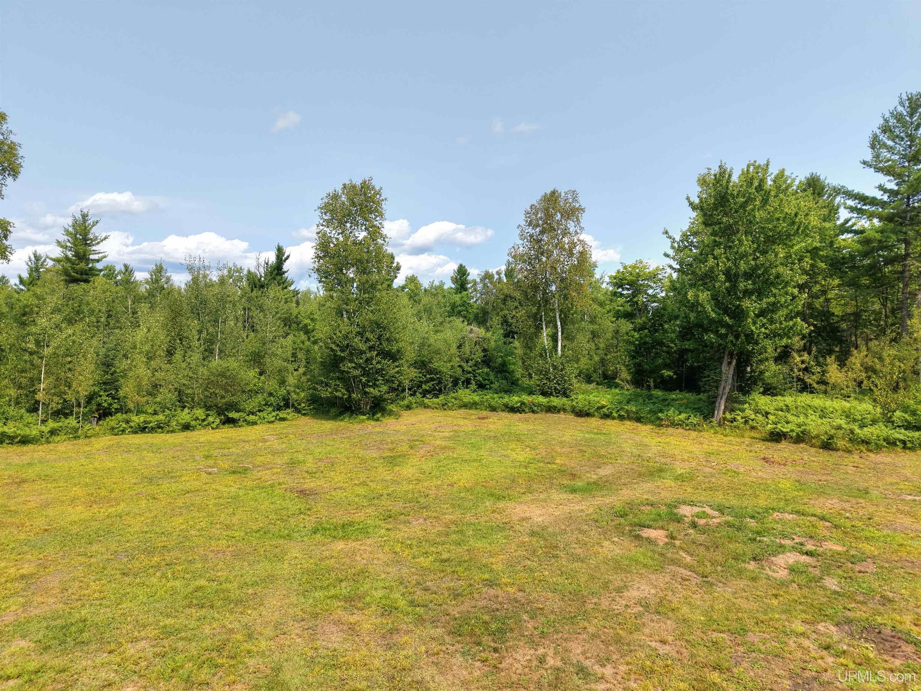 2360 Goldmine Creek Drive Property Photo 8