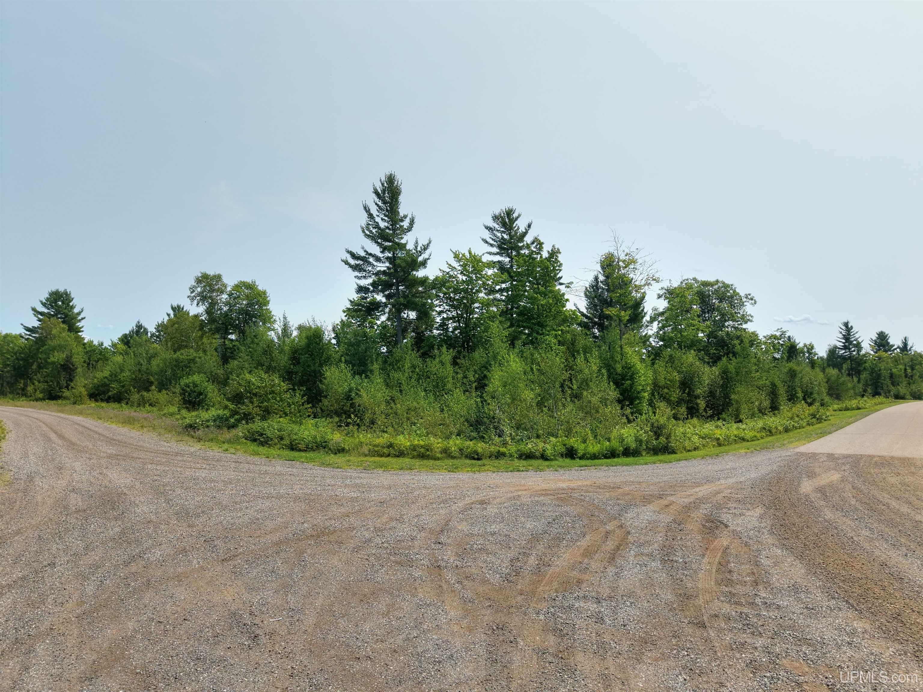 2360 Goldmine Creek Drive Property Photo 10