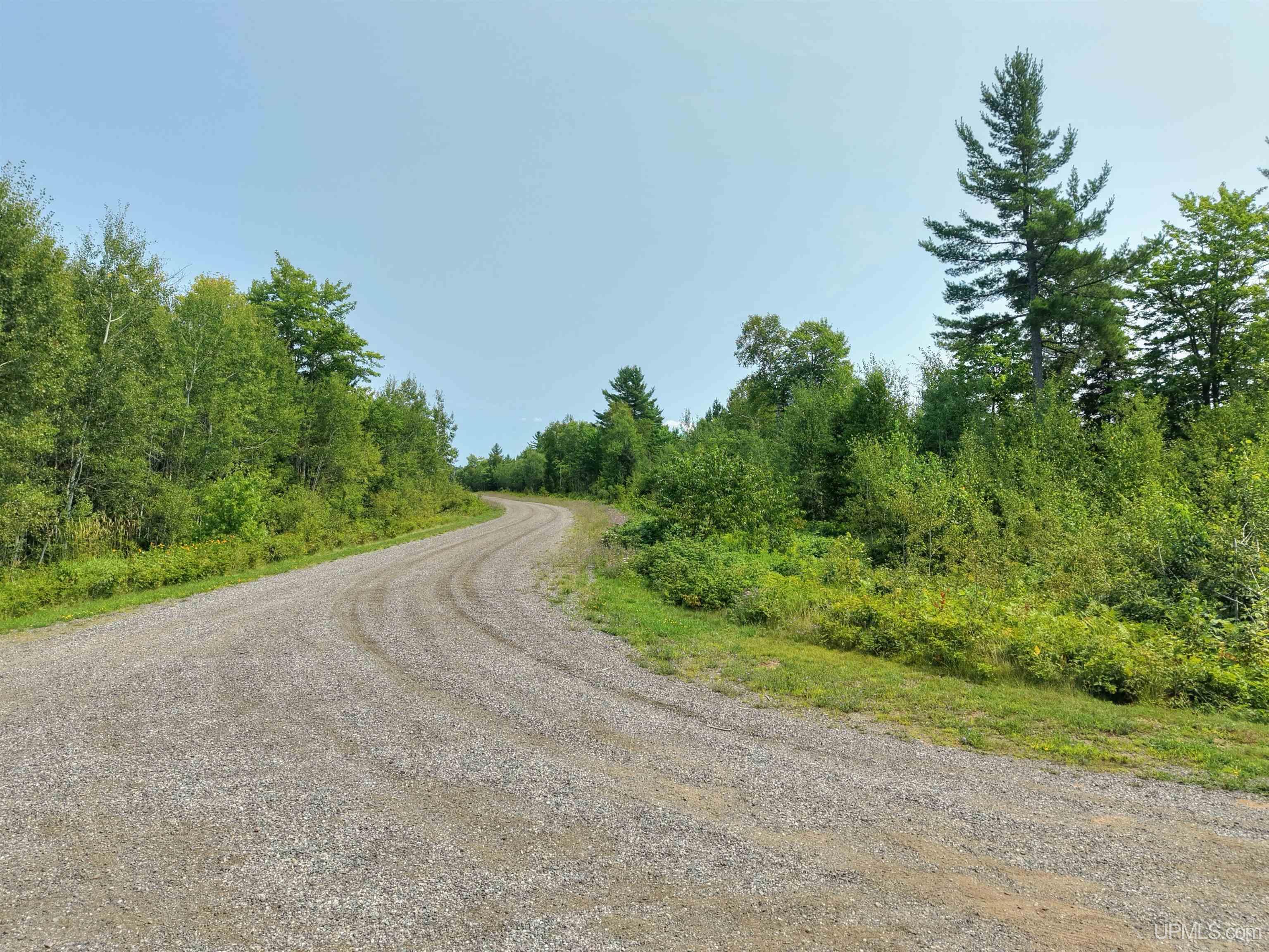 2360 Goldmine Creek Drive Property Photo 14
