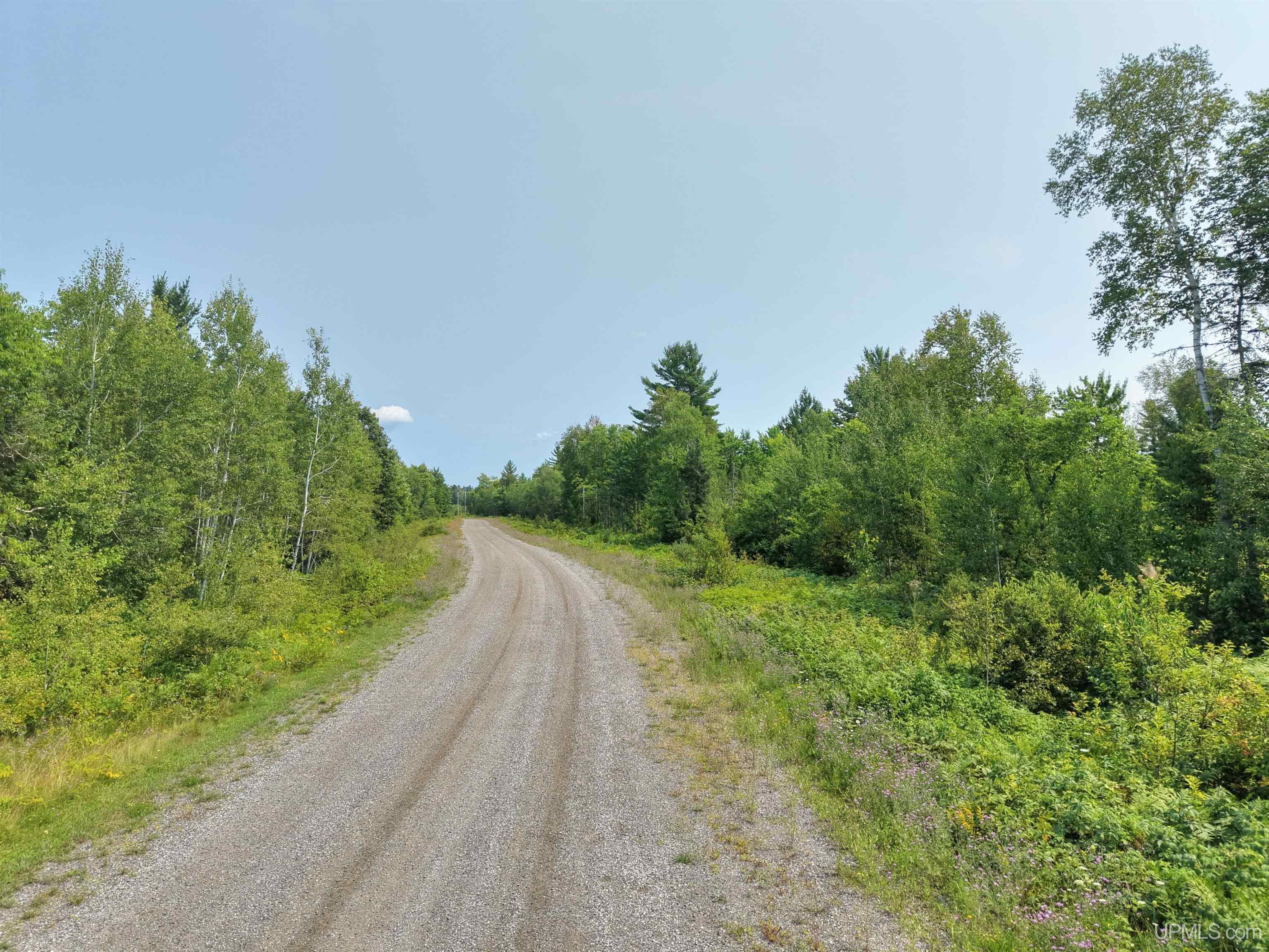 2360 Goldmine Creek Drive Property Photo 15