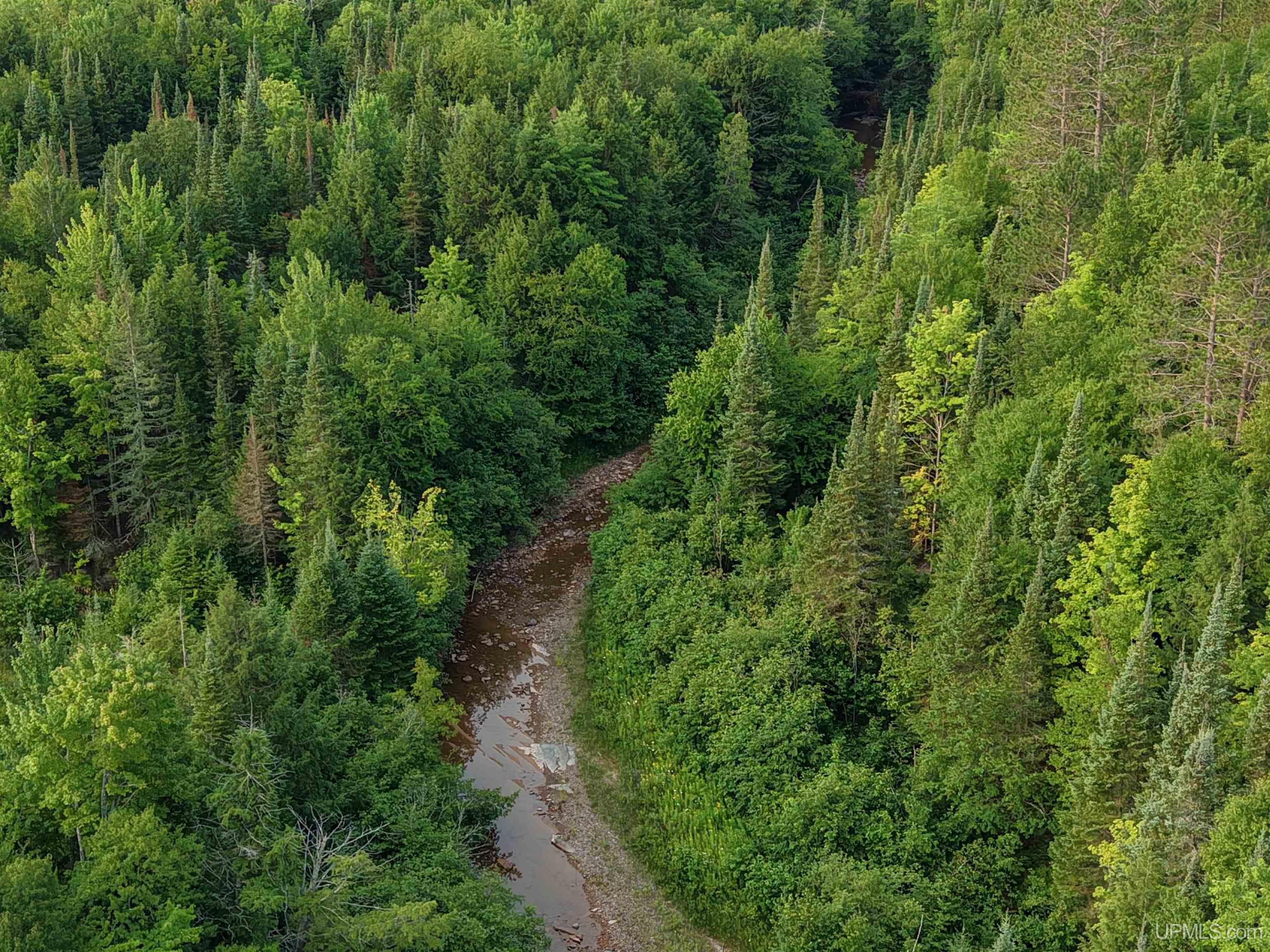 Lot 1 (north) M-64 Highway Property Photo 1