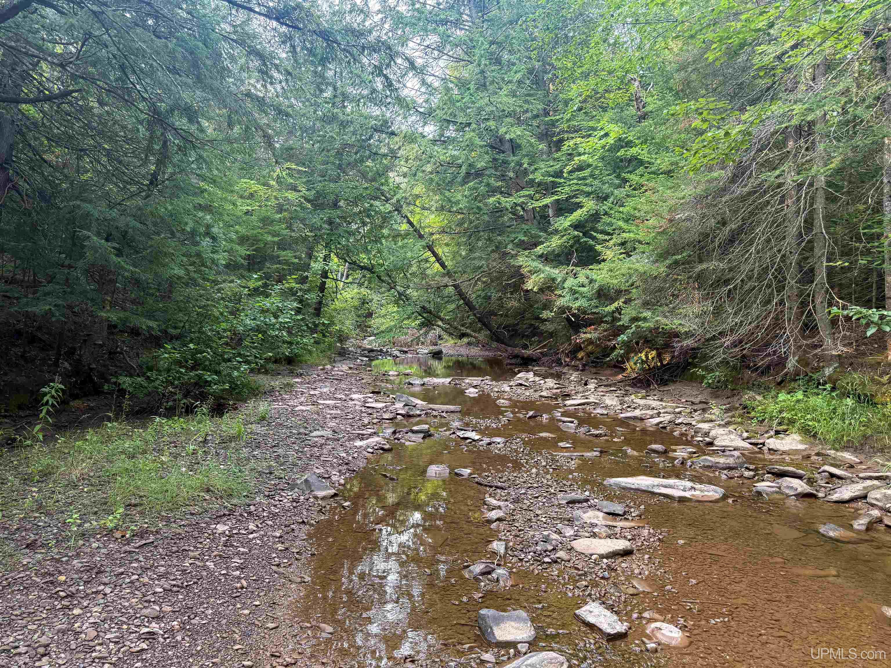 Lot 1 (north) M-64 Highway Property Photo 2
