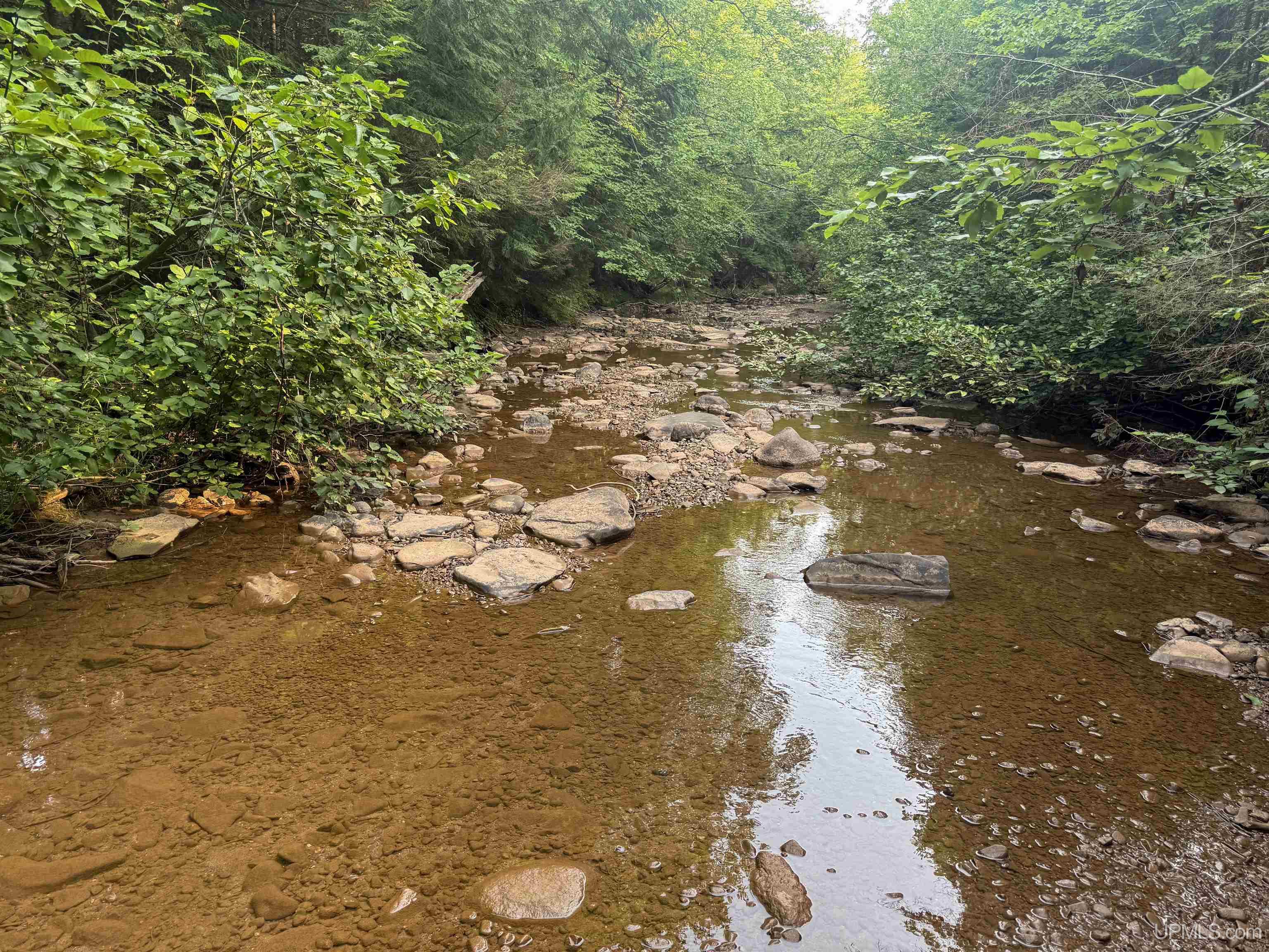 Lot 1 (north) M-64 Highway Property Photo 3