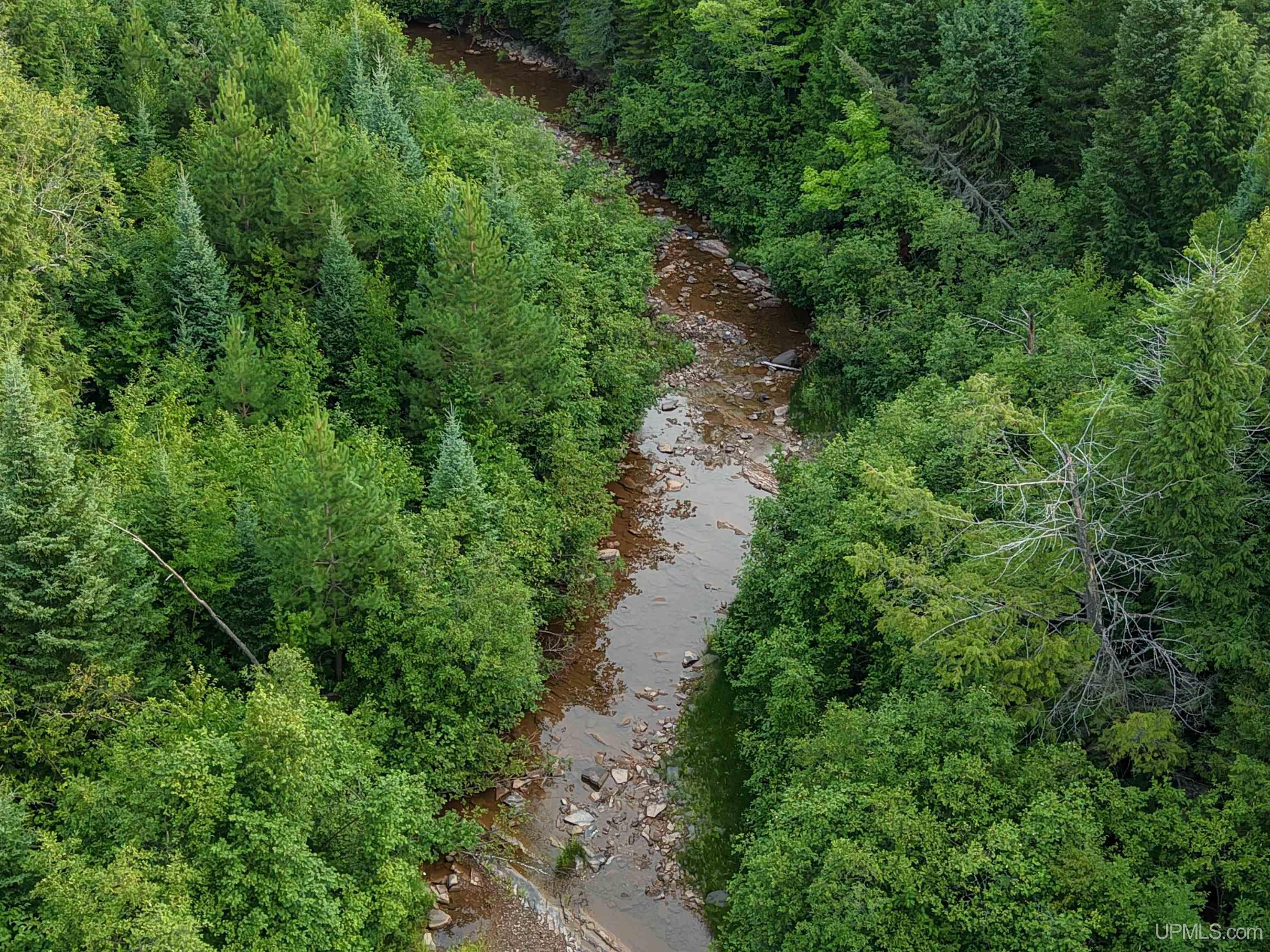 Lot 1 (north) M-64 Highway Property Photo 4