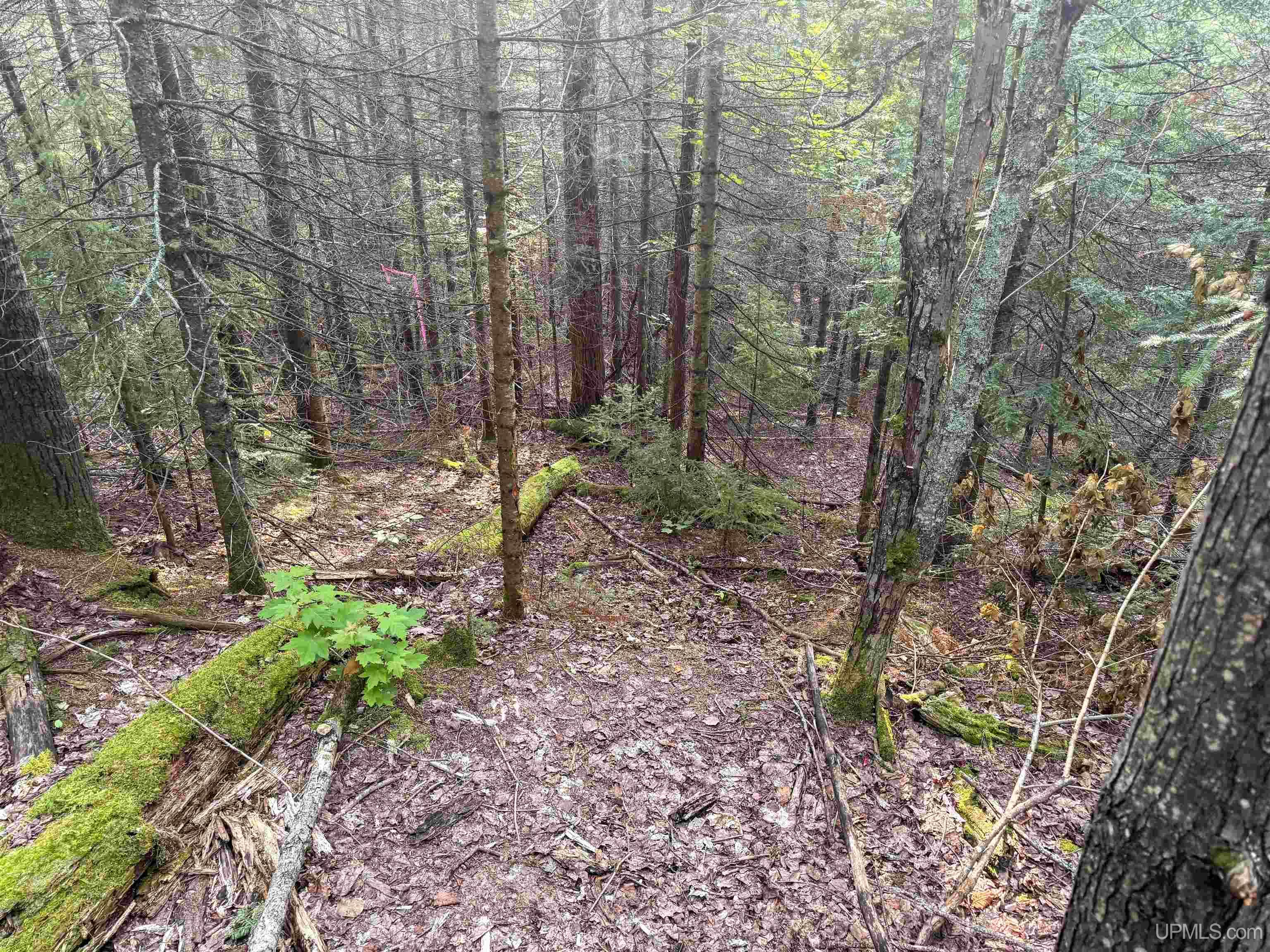 Lot 1 (north) M-64 Highway Property Photo 6