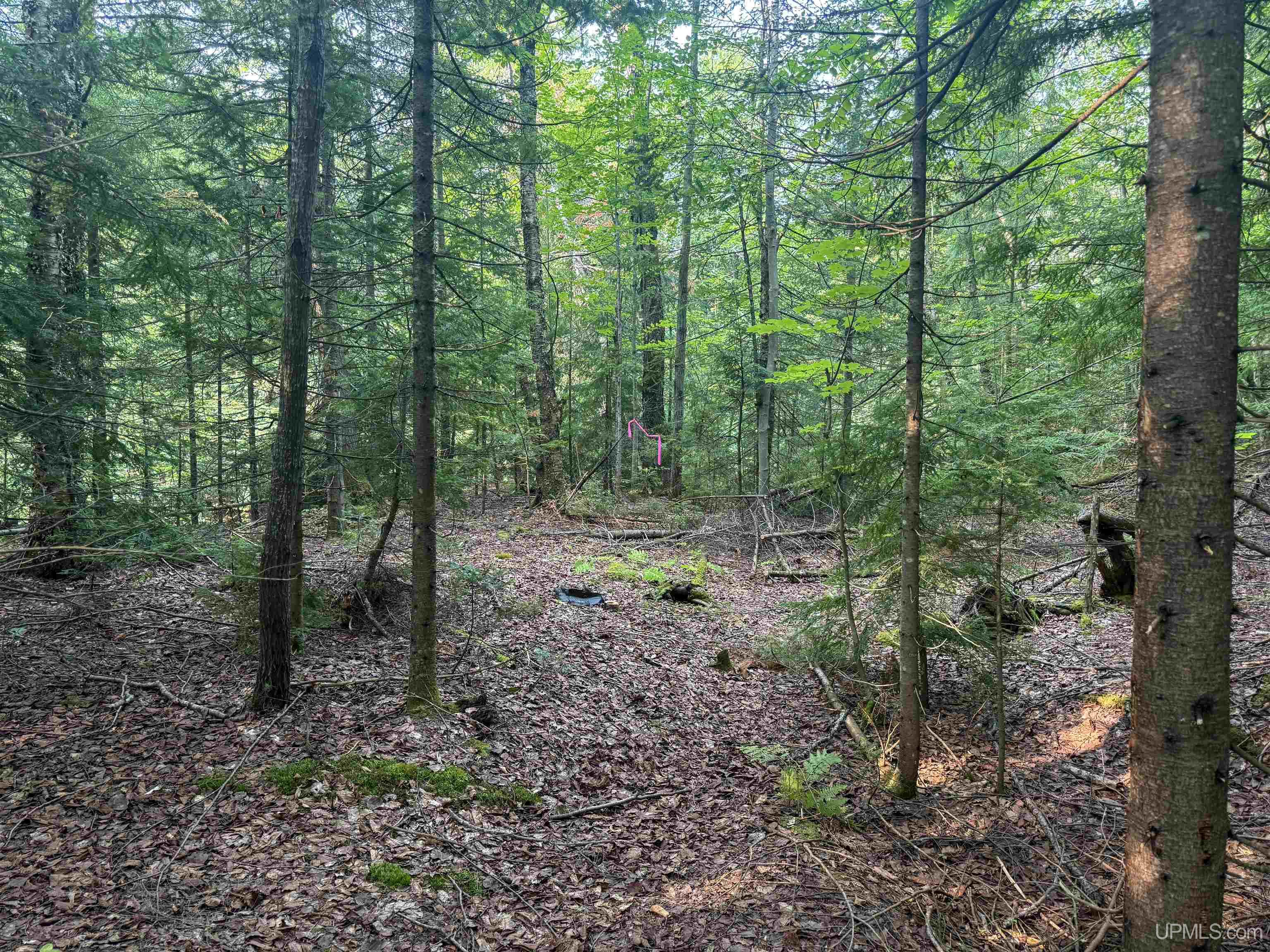 Lot 1 (north) M-64 Highway Property Photo 7