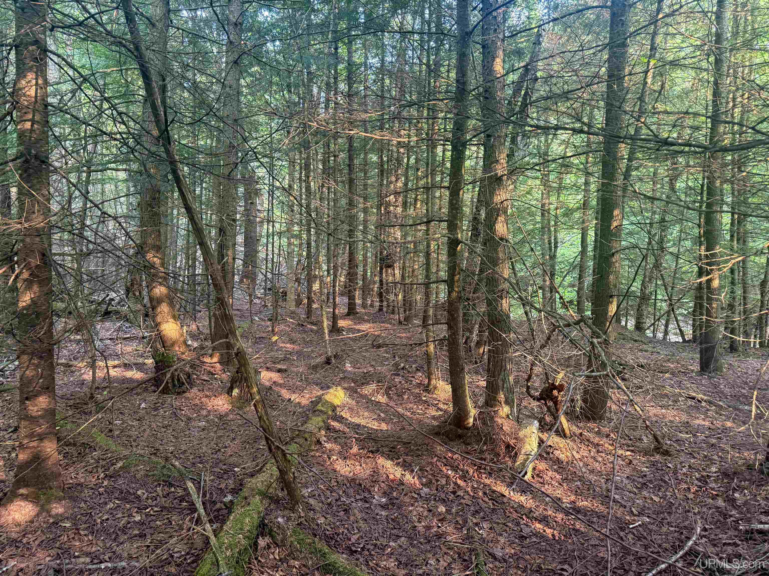 Lot 1 (north) M-64 Highway Property Photo 8