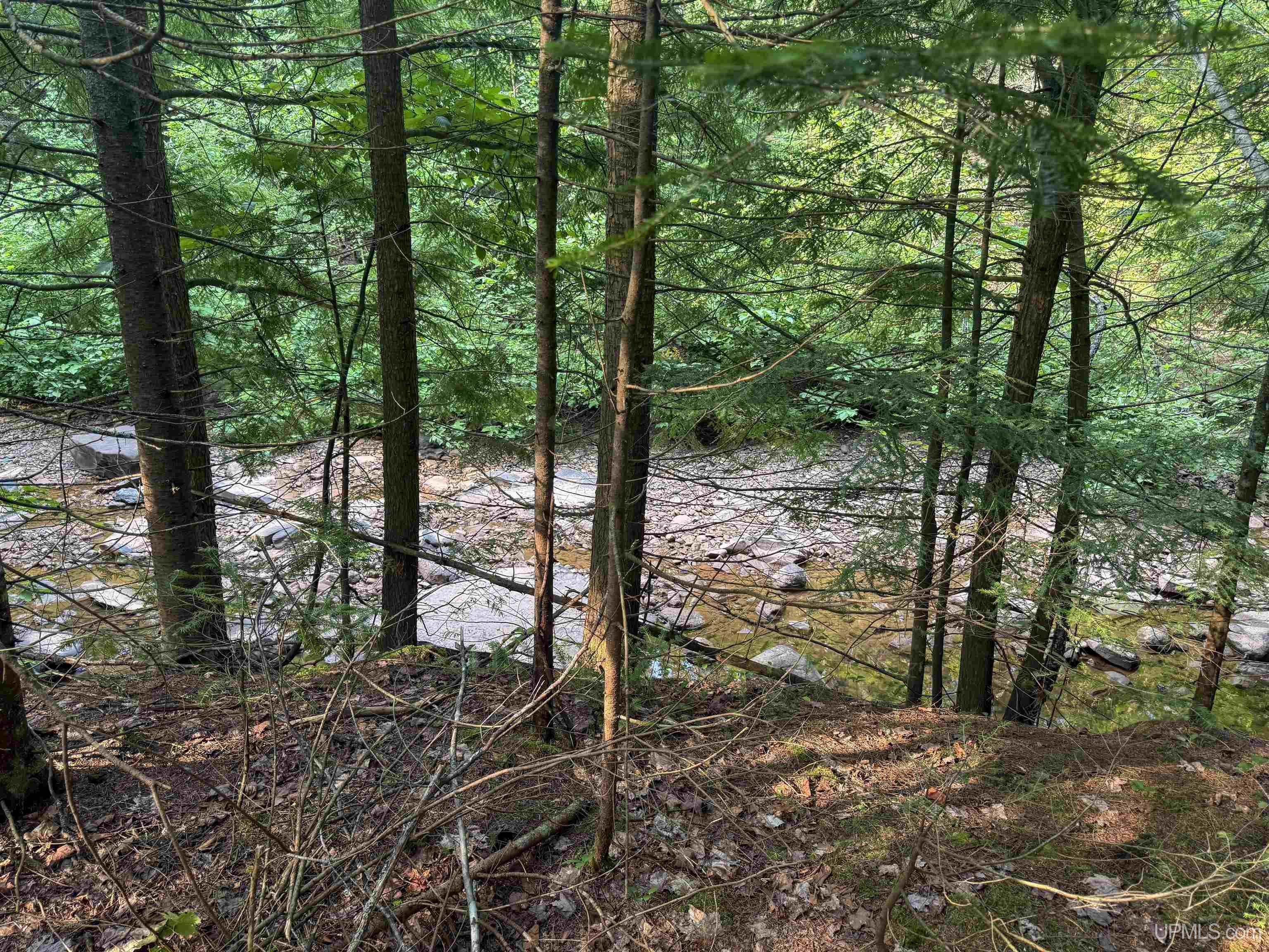 Lot 1 (north) M-64 Highway Property Photo 9