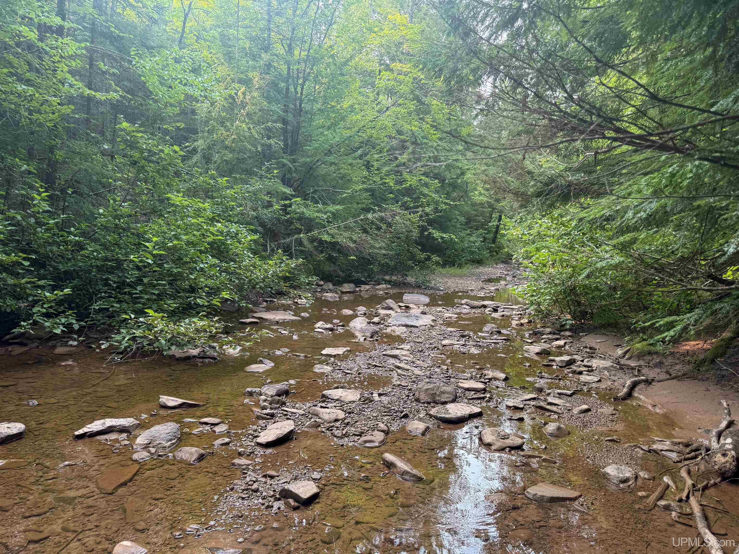 Lot 1 (north) M-64 Highway Property Photo 10