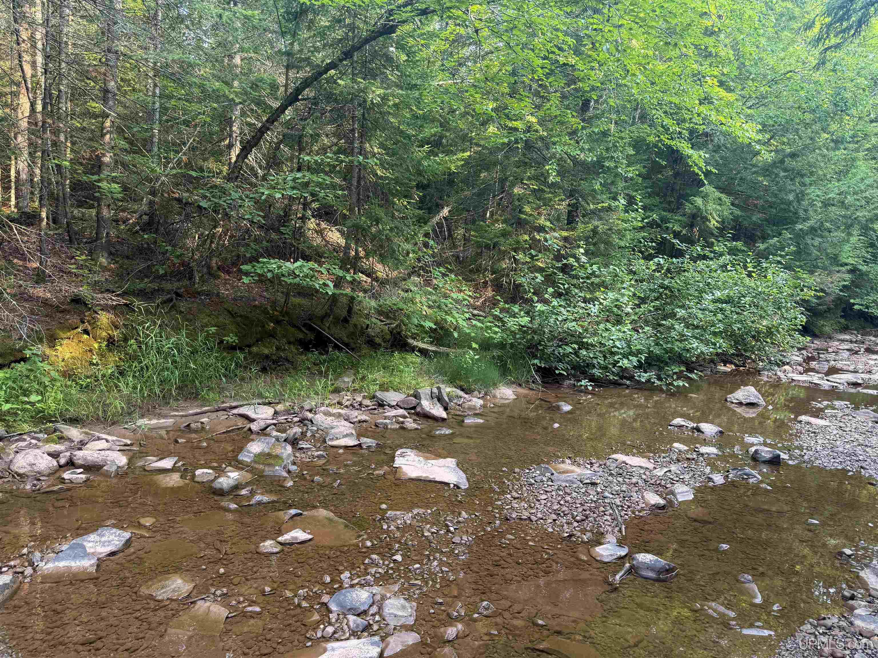 Lot 1 (north) M-64 Highway Property Photo 11