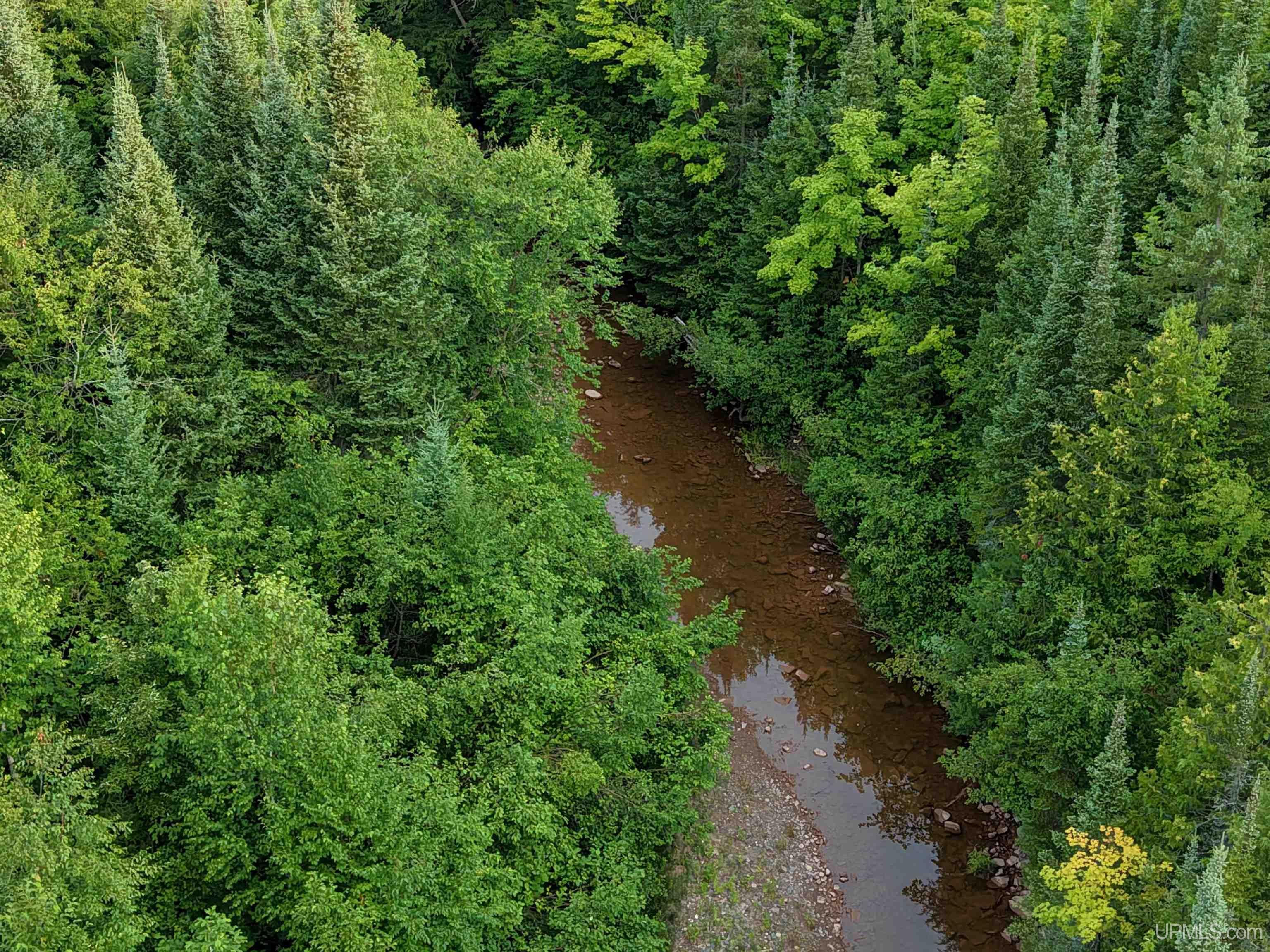 Lot 1 (north) M-64 Highway Property Photo 17