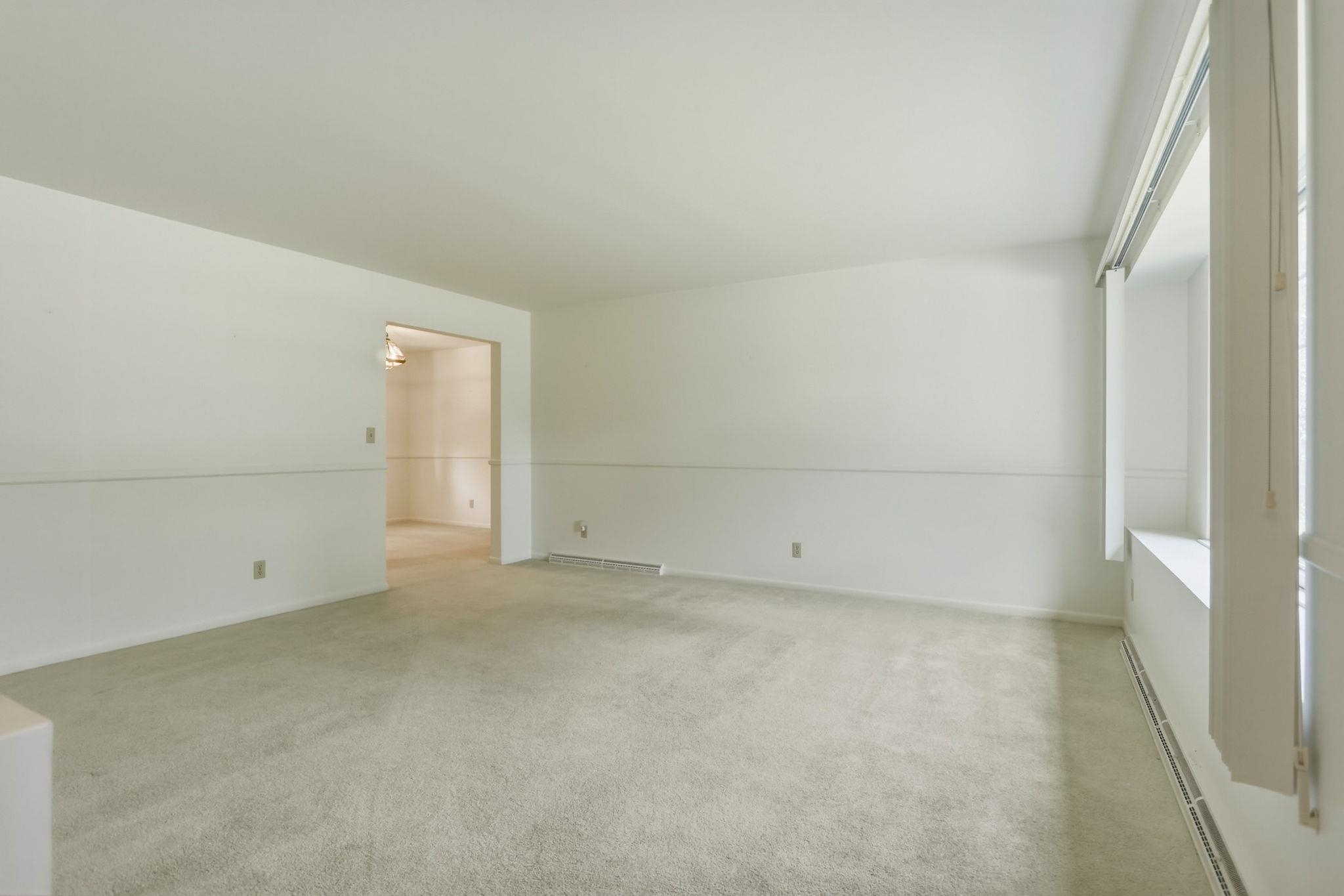 248 Frank Road Property Photo 10