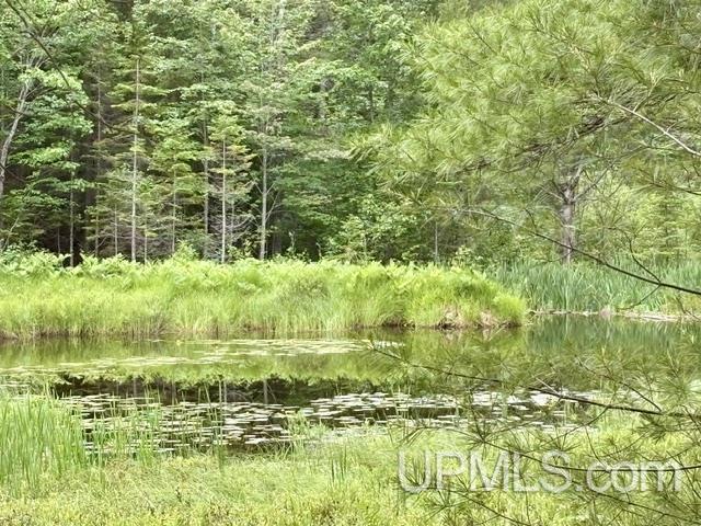 9200 Lost Lake Road Property Photo 2