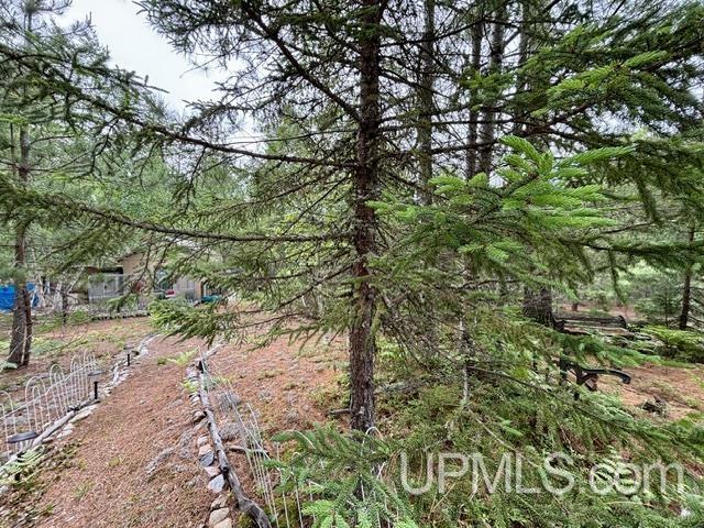 9200 Lost Lake Road Property Photo 39