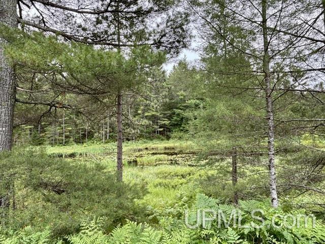 9200 Lost Lake Road Property Photo 45