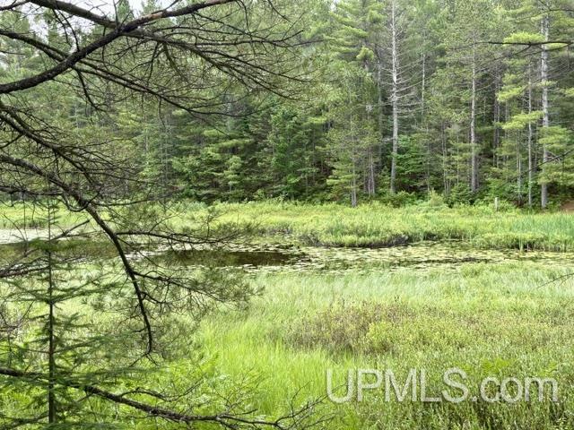 9200 Lost Lake Road Property Photo 46