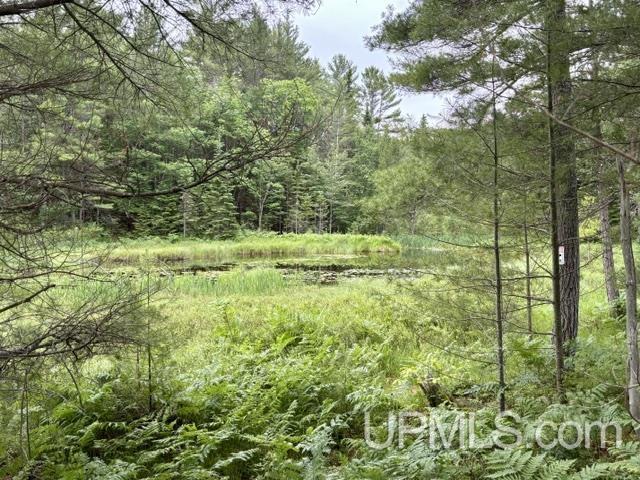 9200 Lost Lake Road Property Photo 47