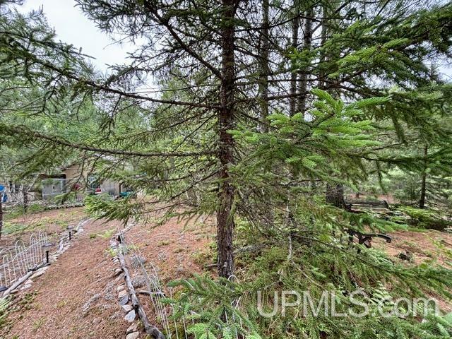 9200 Lost Lake Road Property Photo 48