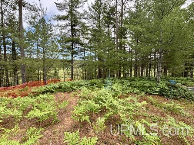 9200 Lost Lake Road Property Photo 49