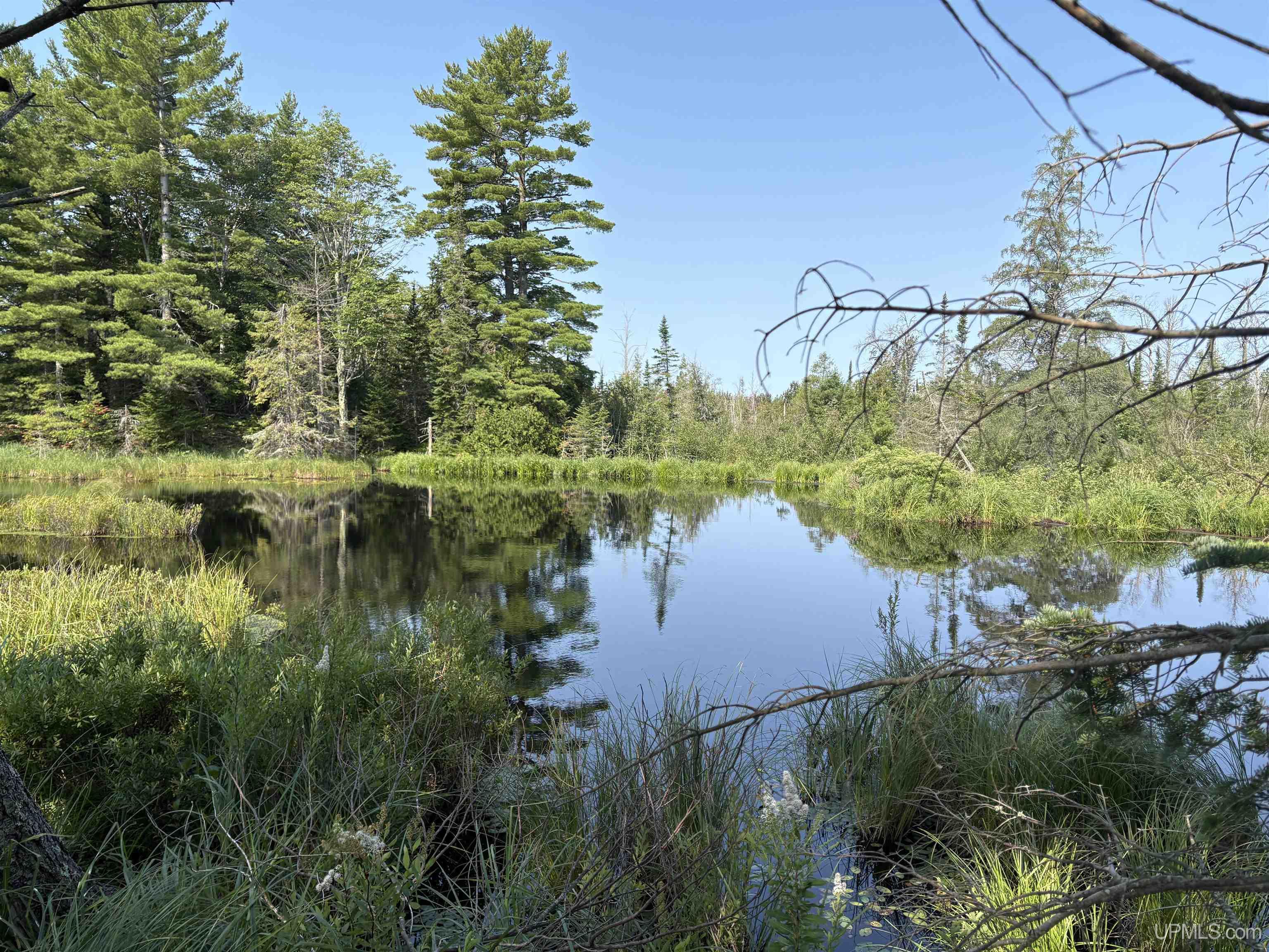 Pond 80 W Off North Pointe RD Road
