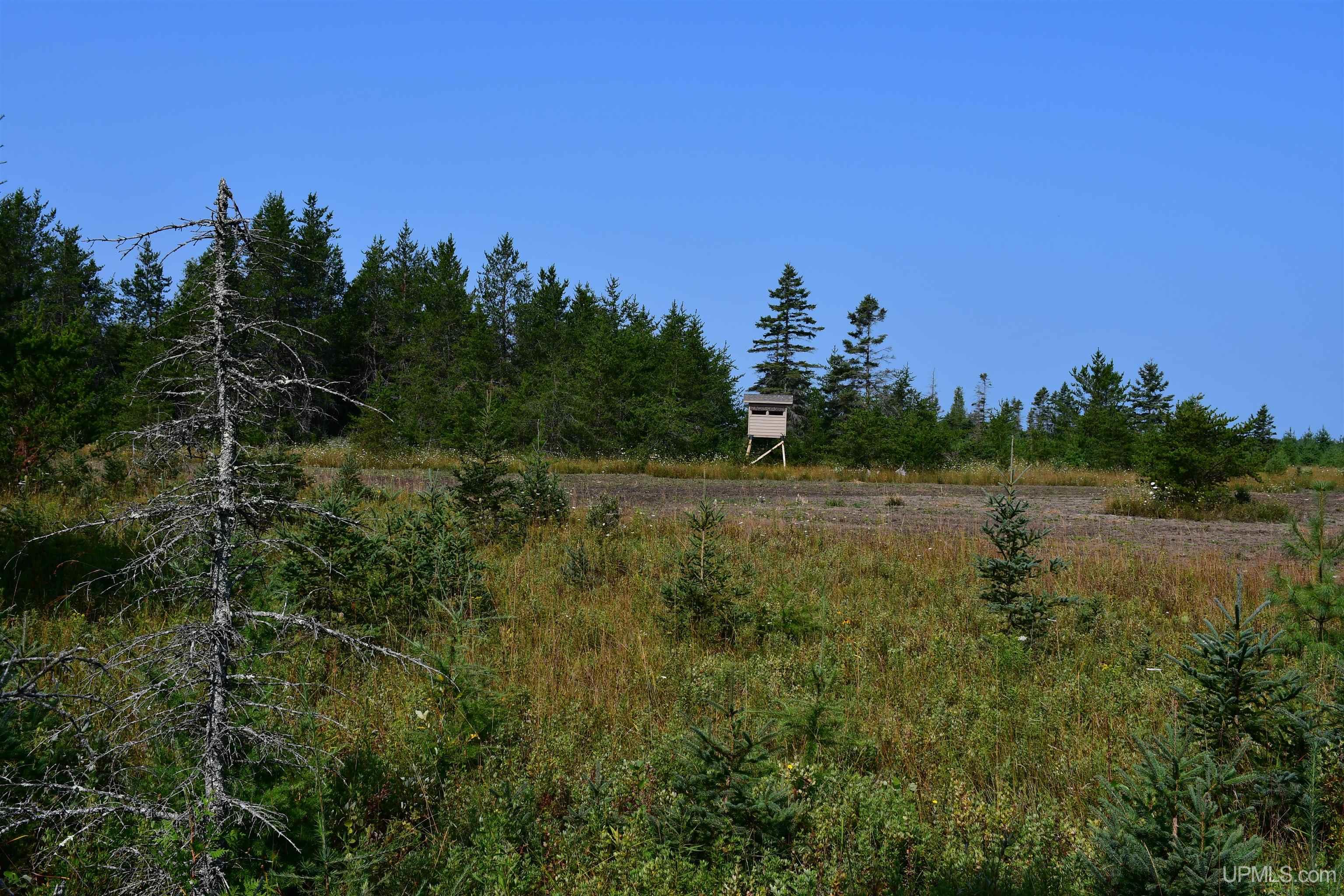 7618 Cr 511 (y.5) Road Property Photo 1