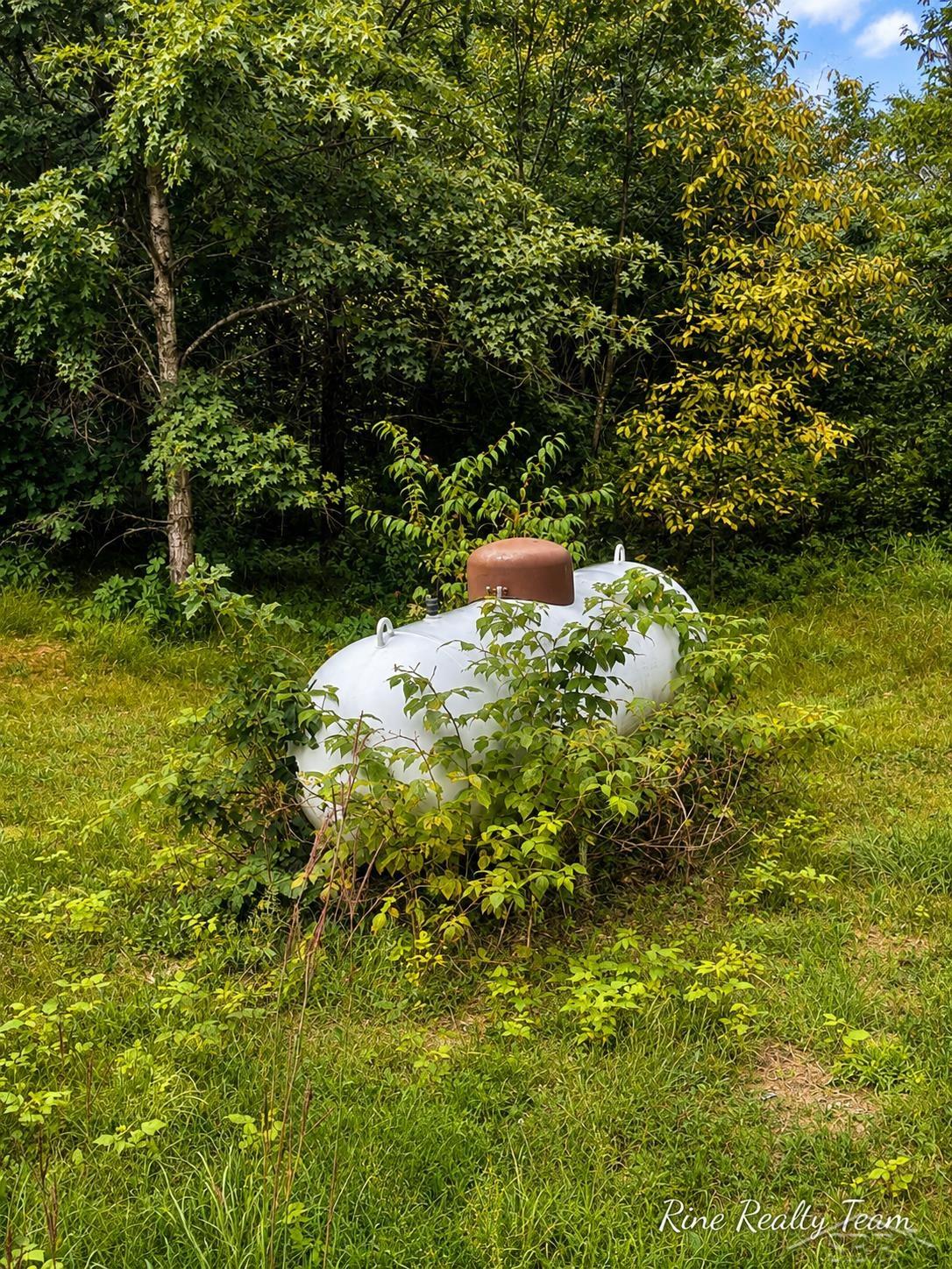 10882 Chase Bridge Road Property Photo 13