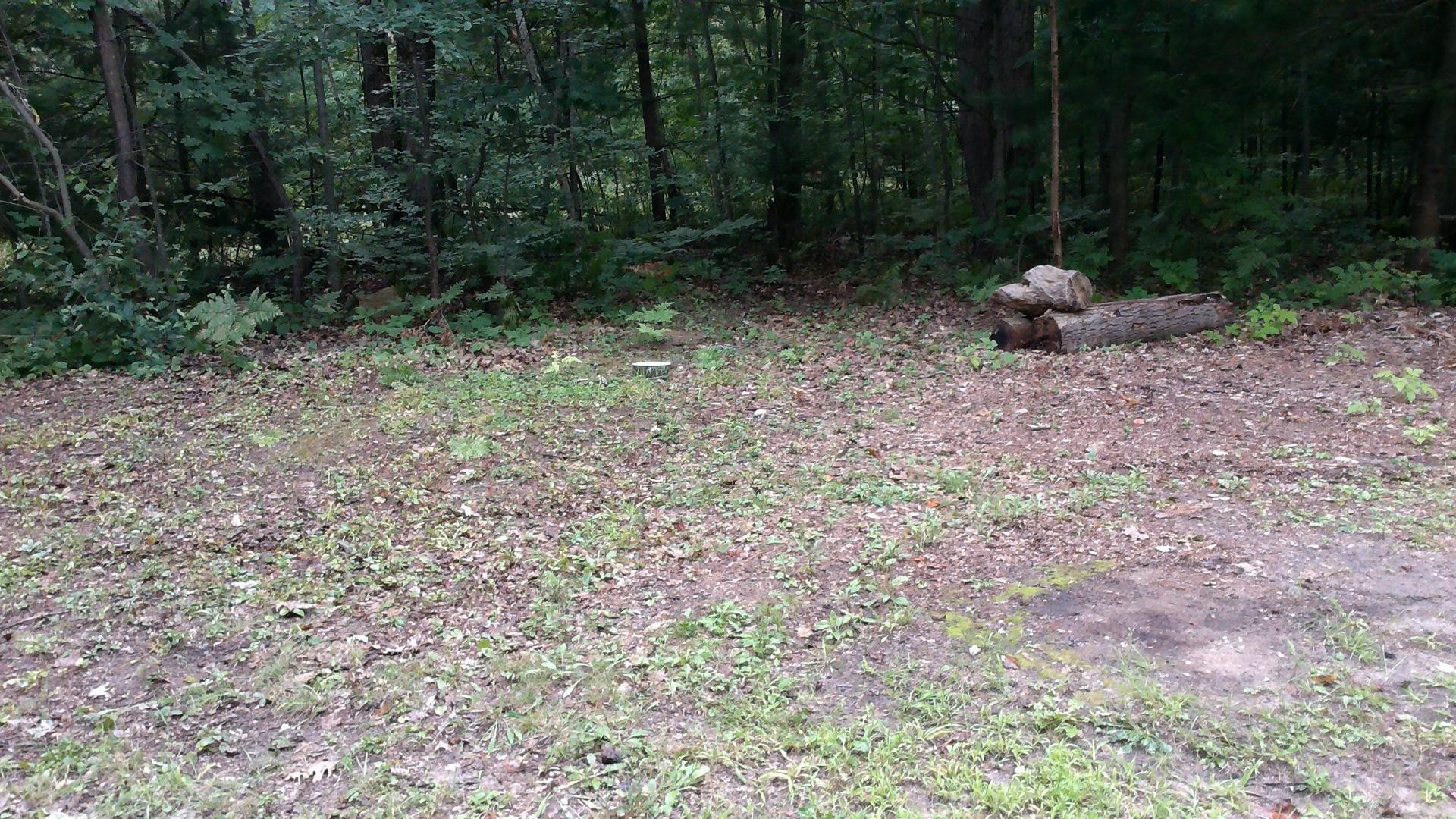 4393 Hemlock Street Property Photo 16