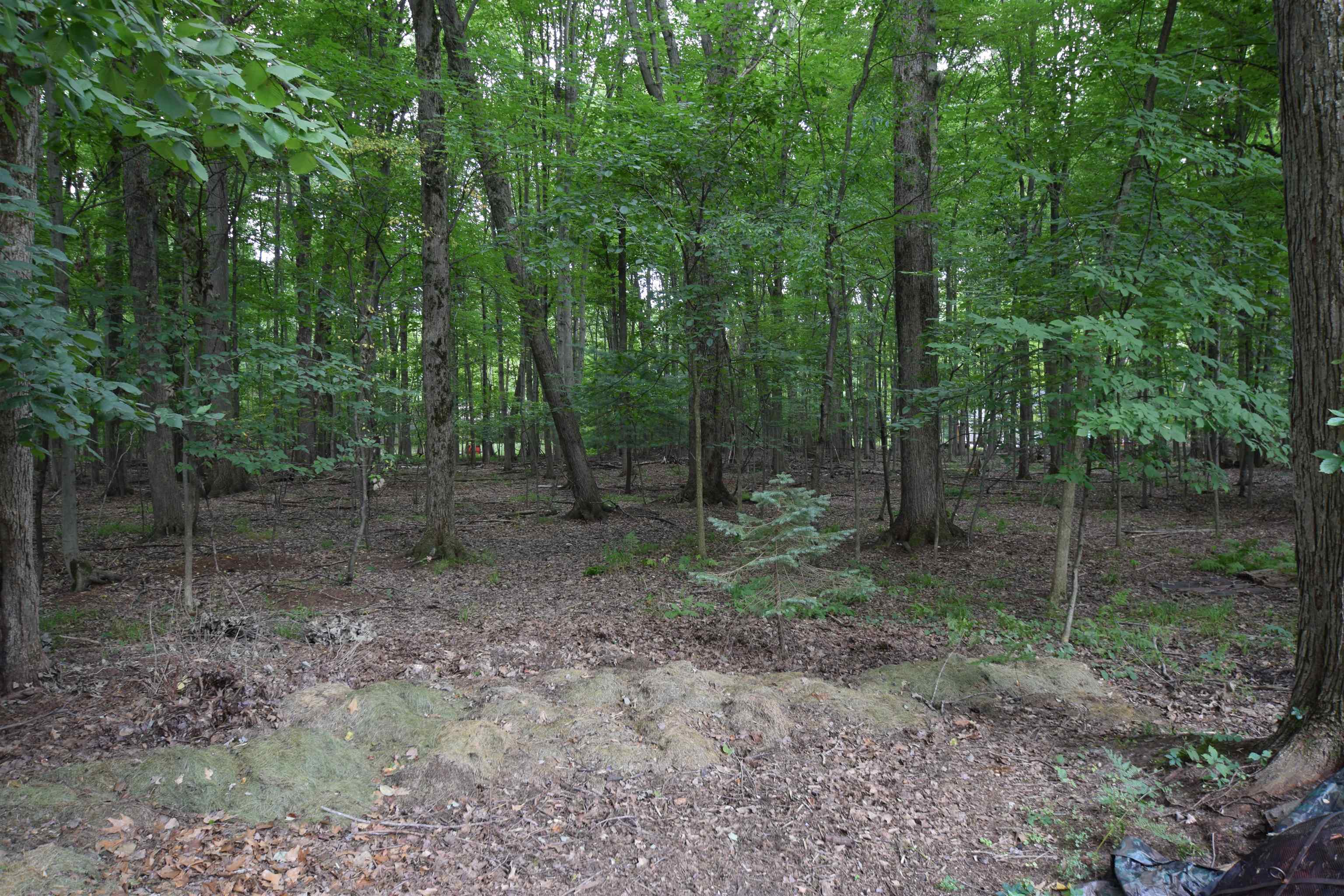 3952 E Kens Lane Property Photo 28