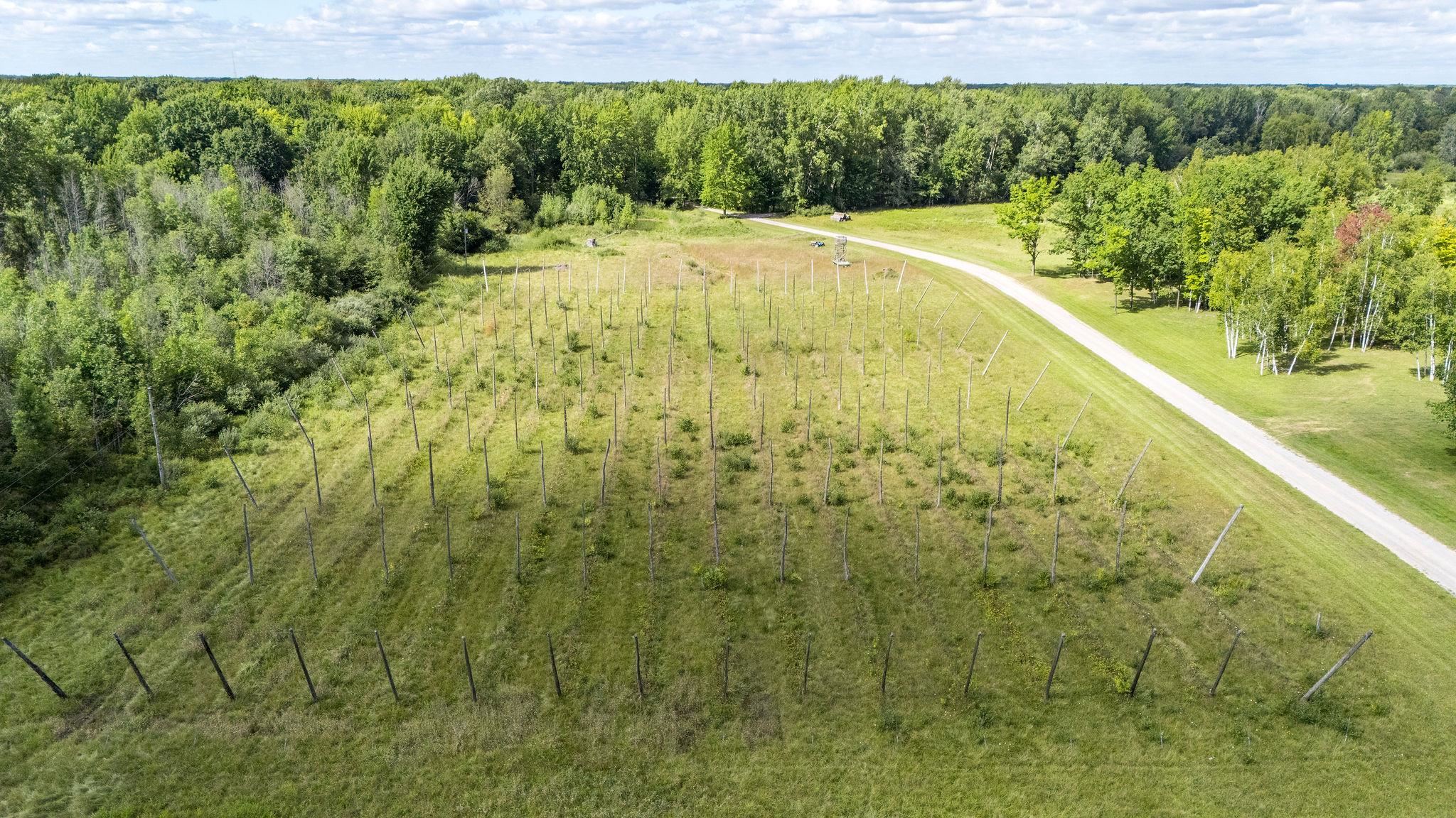 4157 E Hubbard Road Property Photo 5