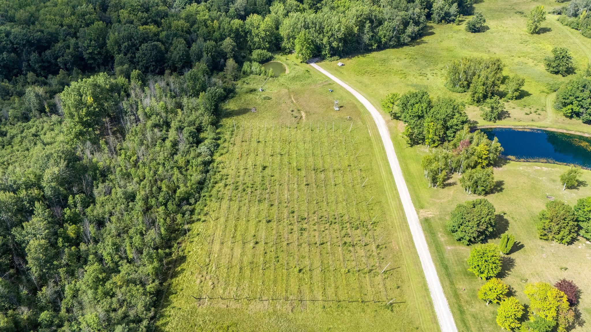4157 E Hubbard Road Property Photo 23