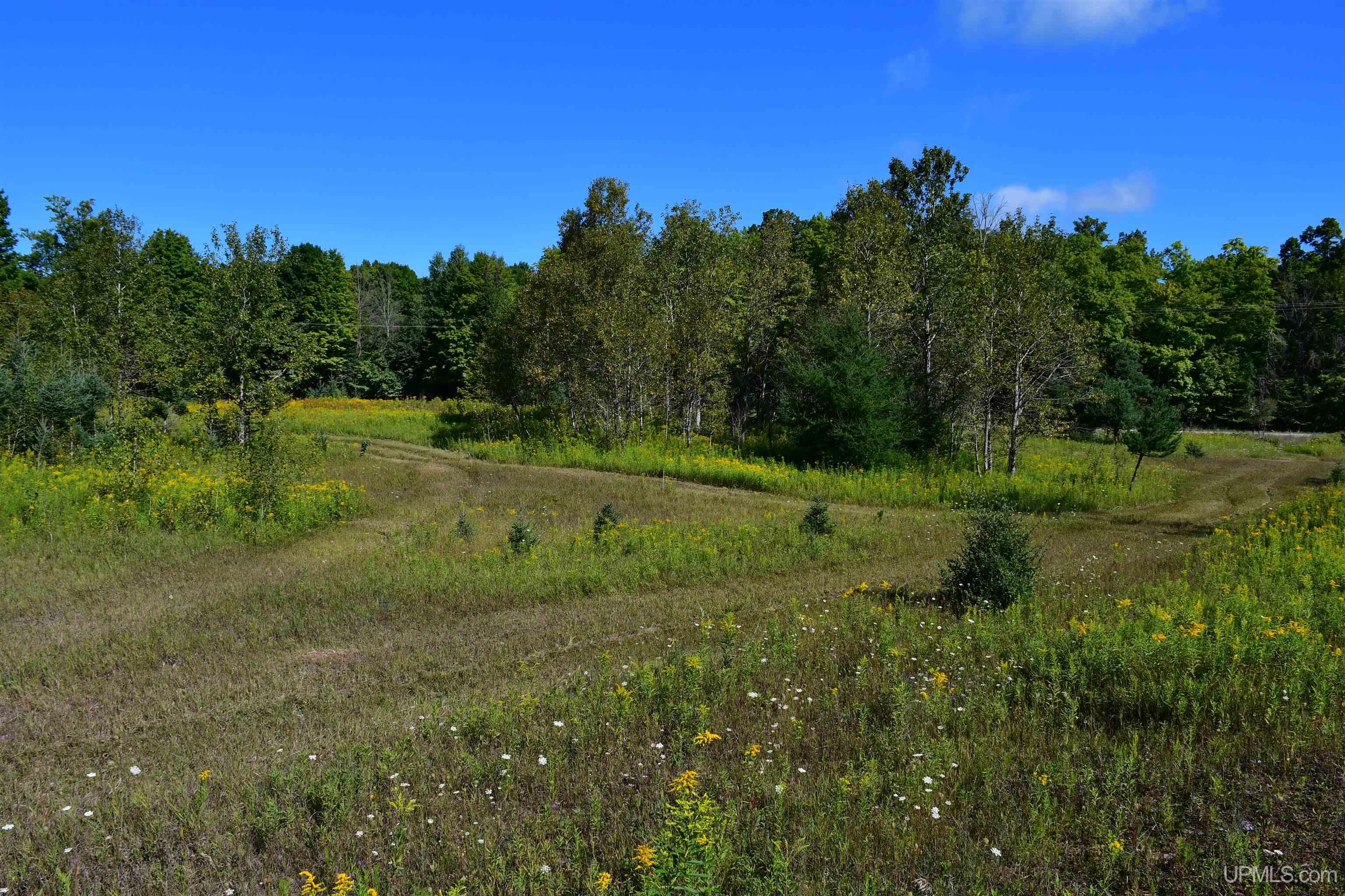 Tbd 20 Ac- 26th (cr 434) Road Property Photo 6