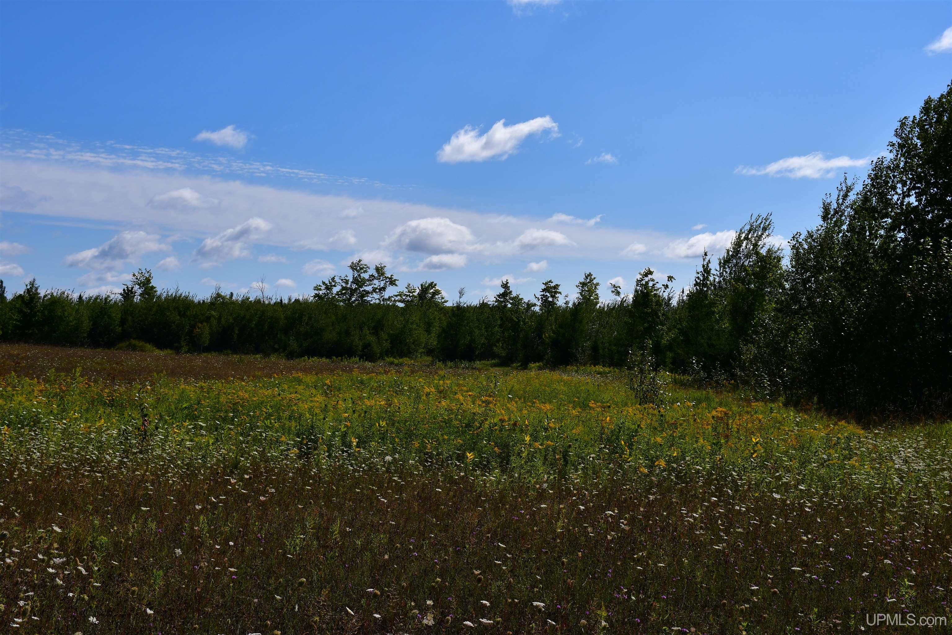 Tbd 20 Ac- 26th (cr 434) Road Property Photo 9