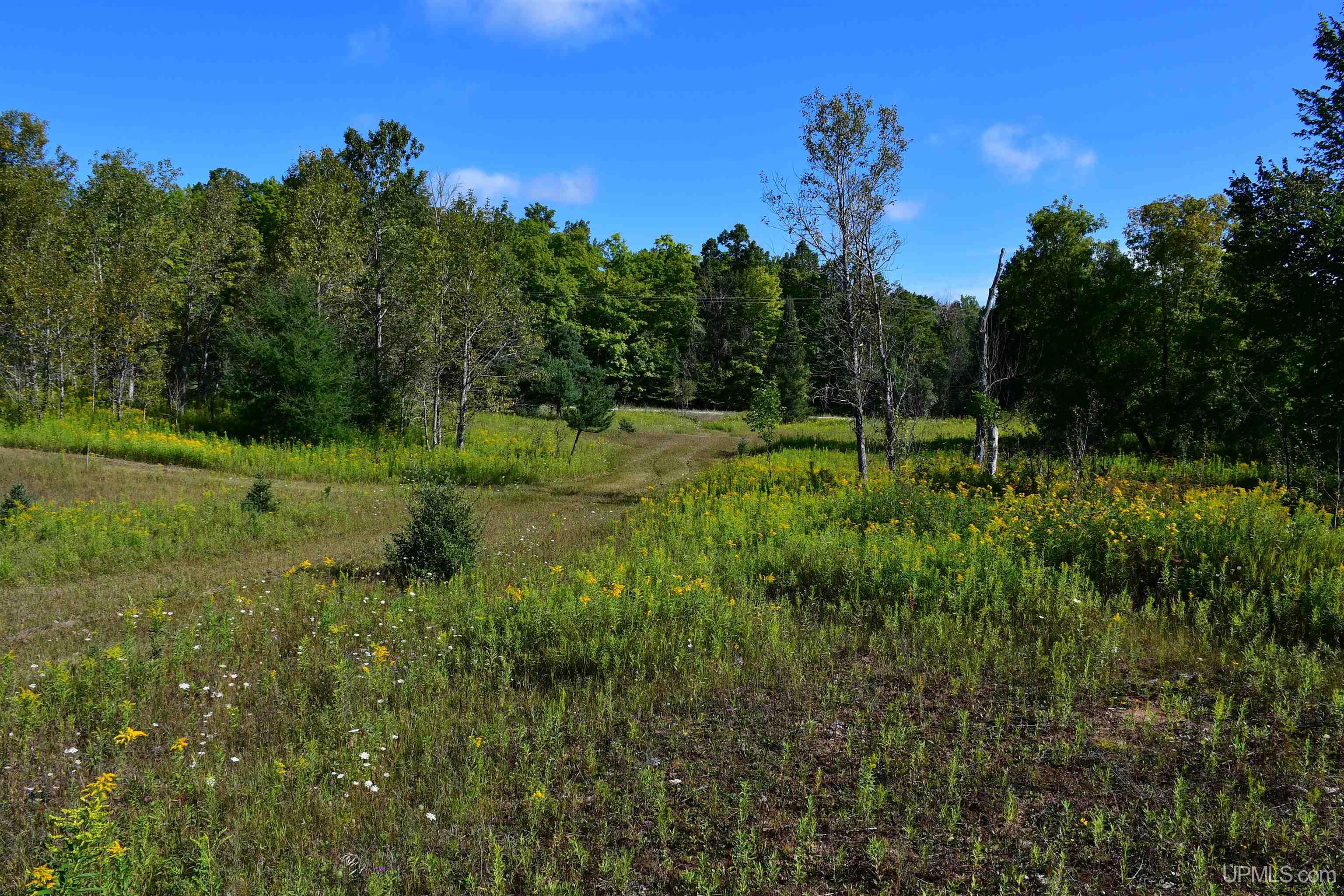 Tbd 20 Ac- 26th (cr 434) Road Property Photo 10