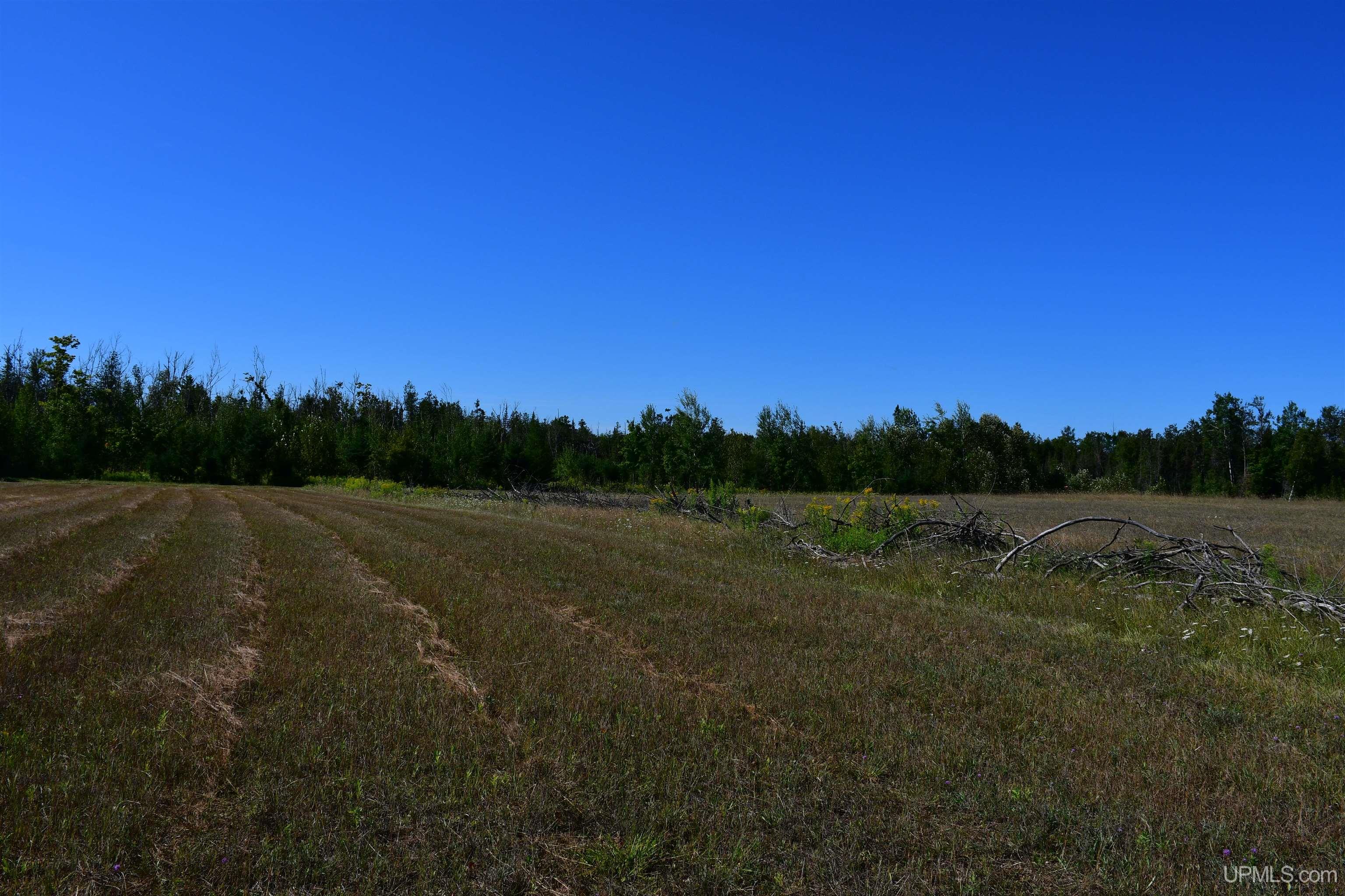 Tbd 20 Ac- 26th (cr 434) Road Property Photo 12