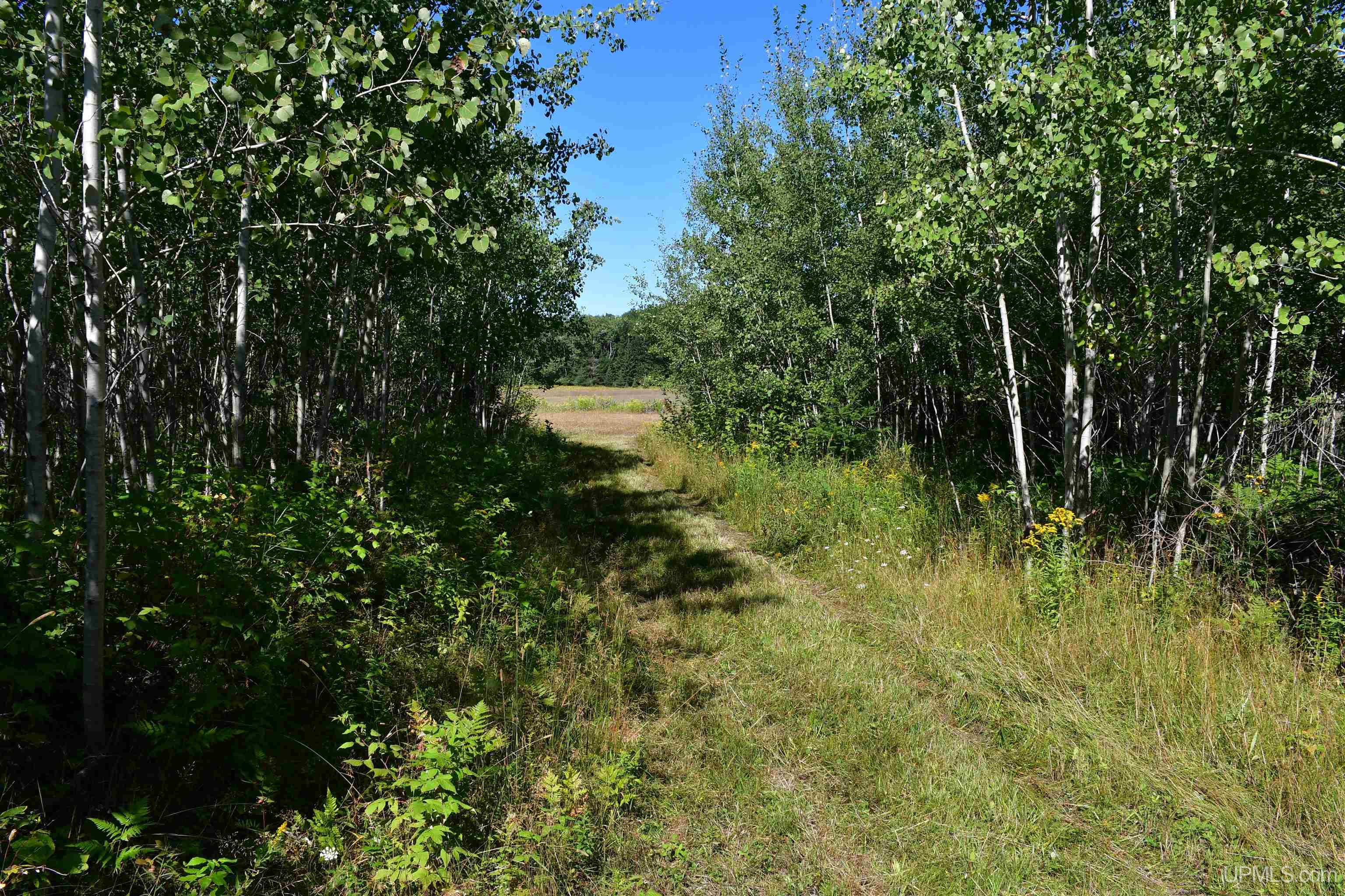 Tbd 20 Ac- 26th (cr 434) Road Property Photo 13