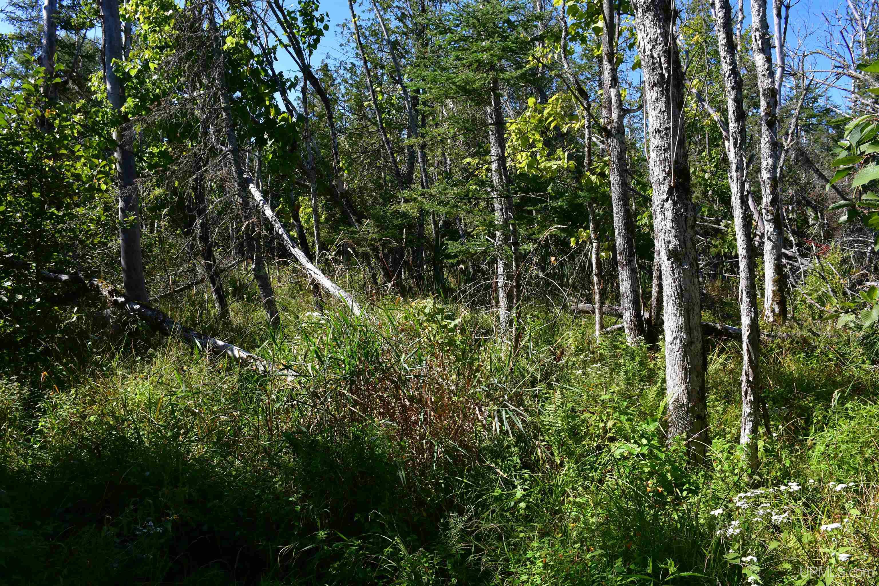 Tbd 20 Ac- 26th (cr 434) Road Property Photo 14