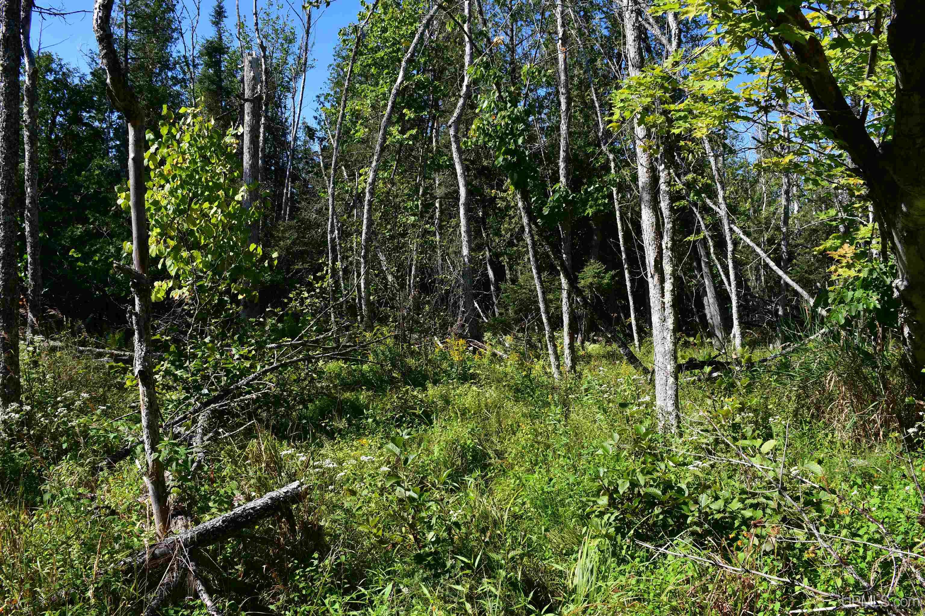 Tbd 20 Ac- 26th (cr 434) Road Property Photo 15