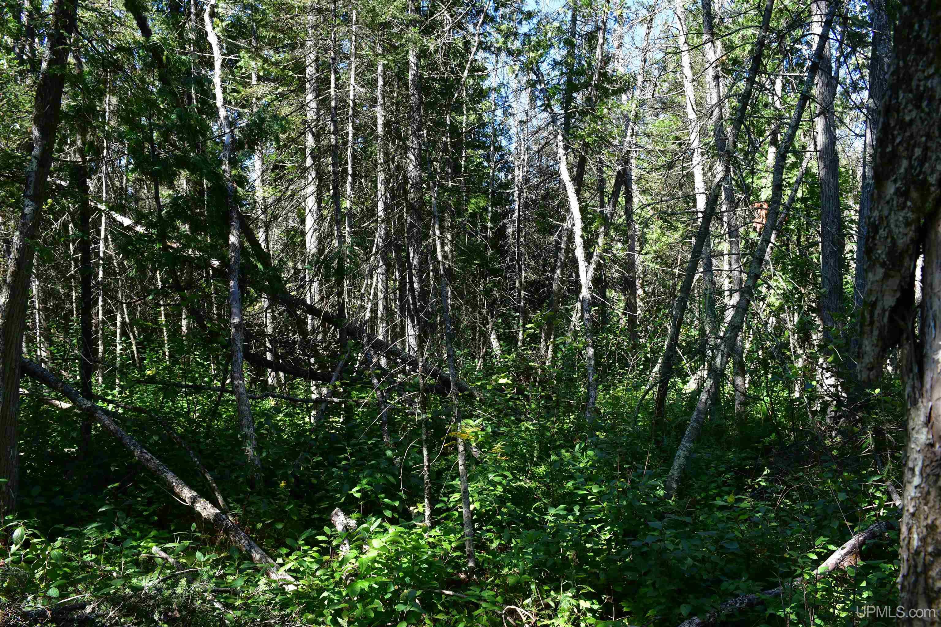 Tbd 20 Ac- 26th (cr 434) Road Property Photo 16