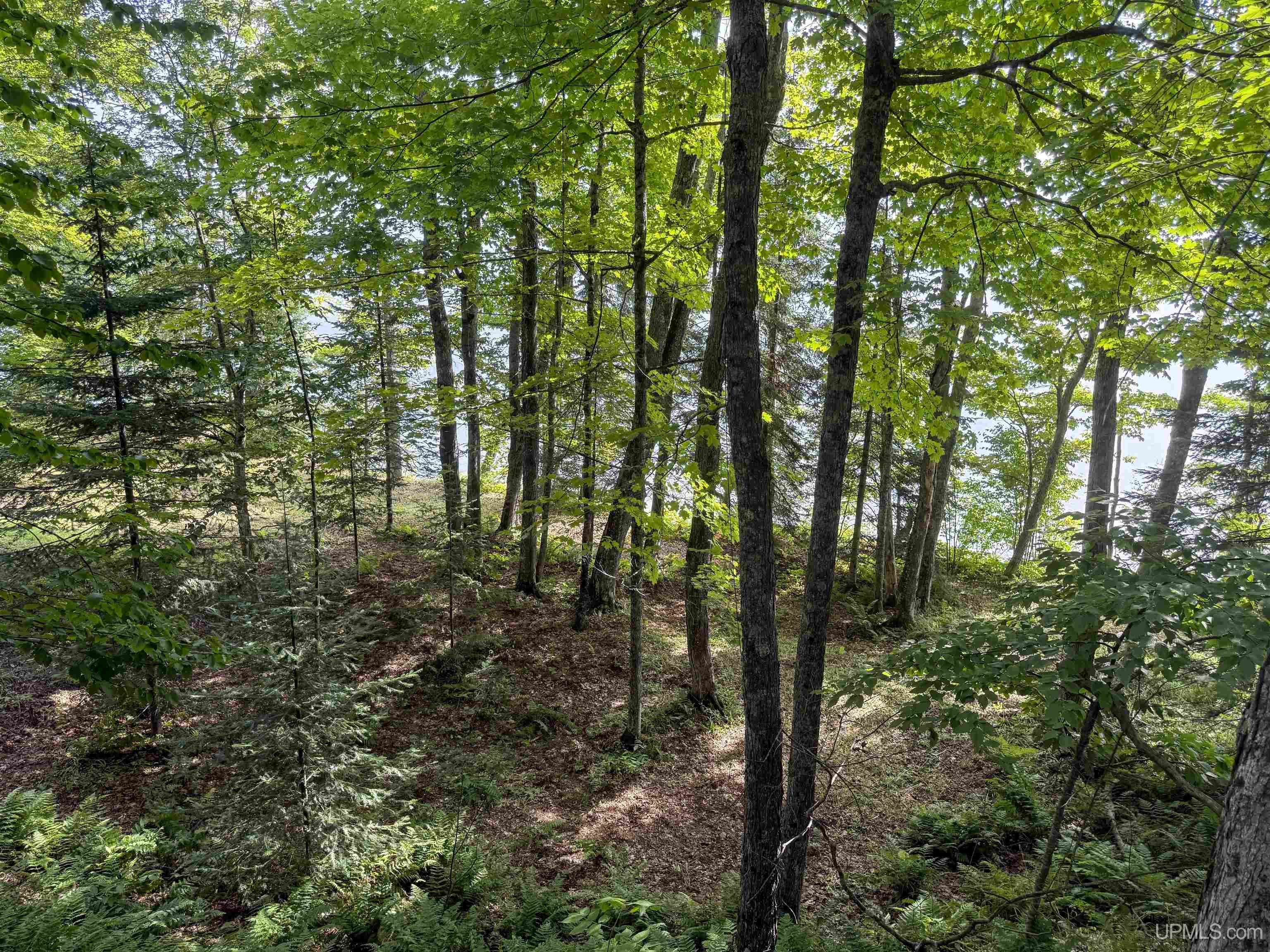 11367 Desrochers Road Property Photo 6