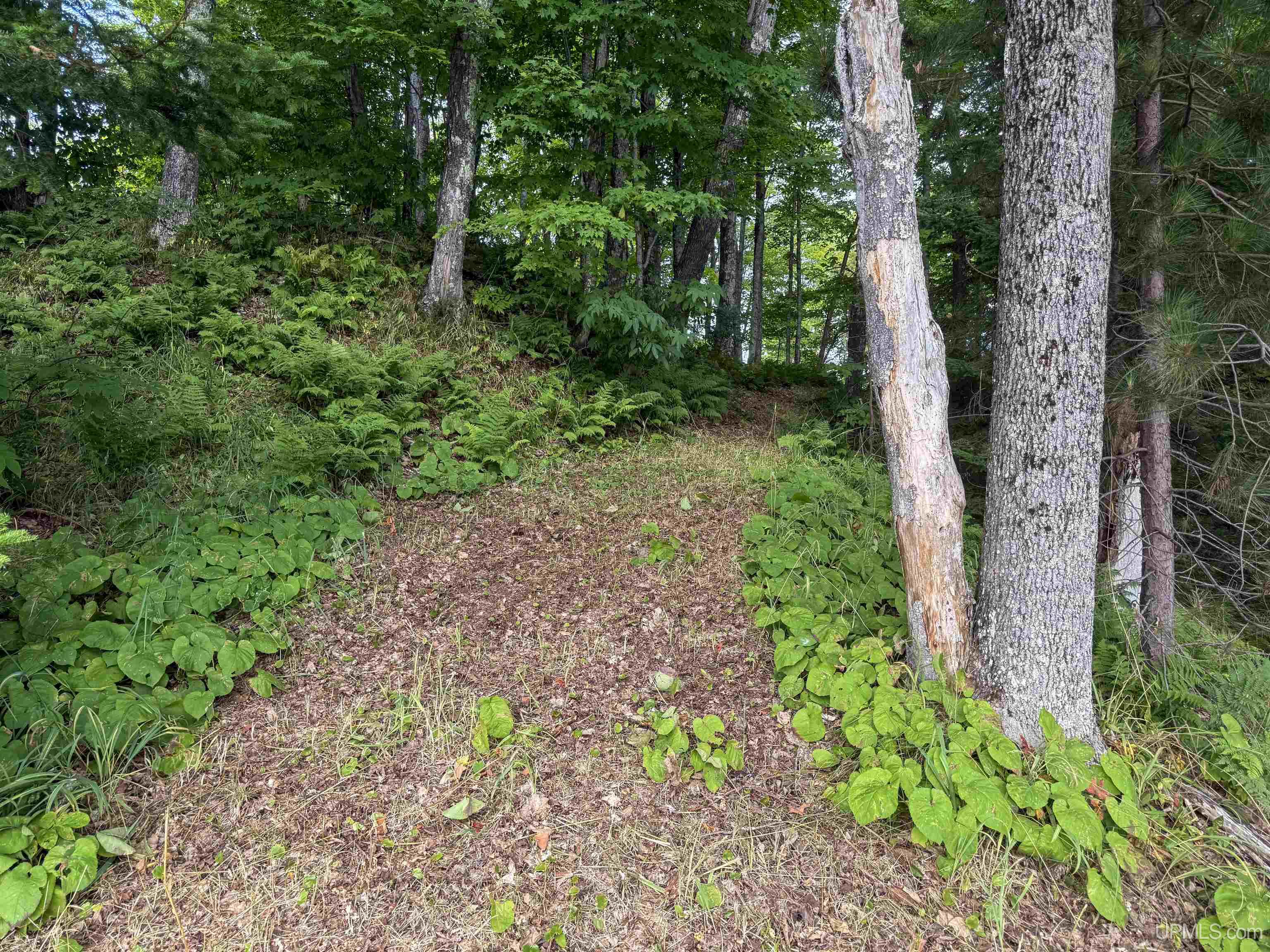 11367 Desrochers Road Property Photo 7