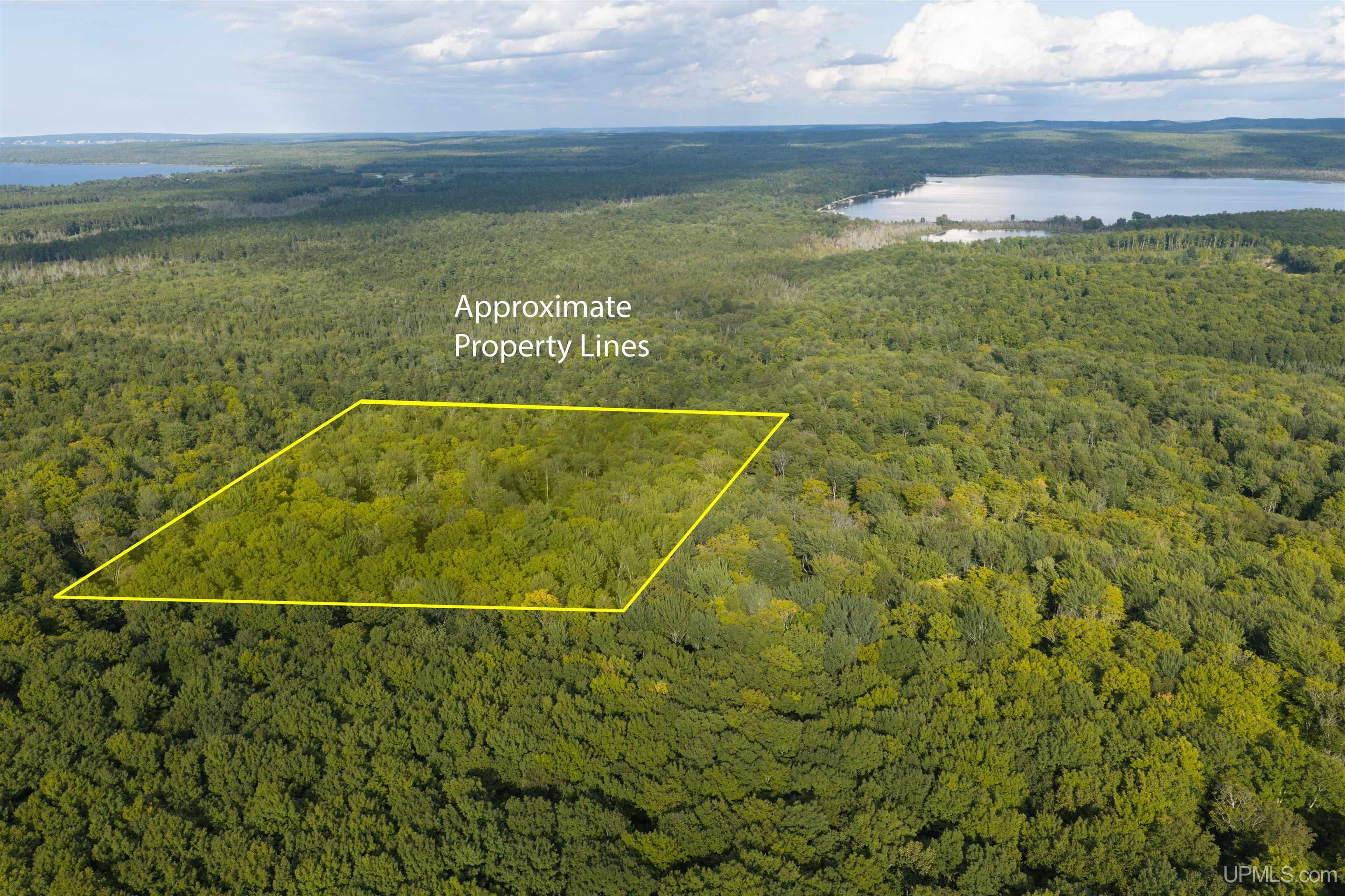 Tbd 40 Acres Martin Road Property Photo 1