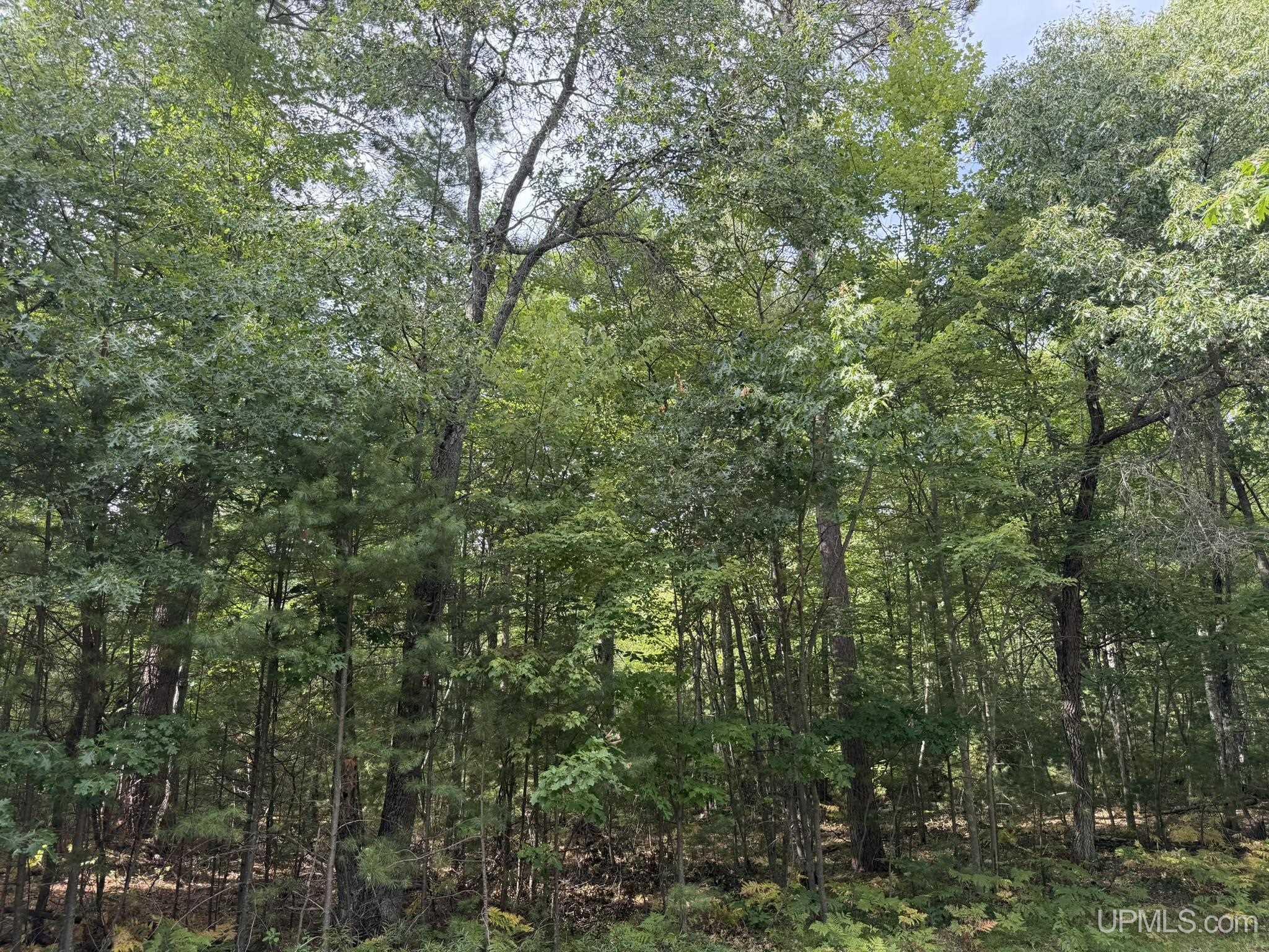 Tbd Silver Shore Lane Property Photo 19
