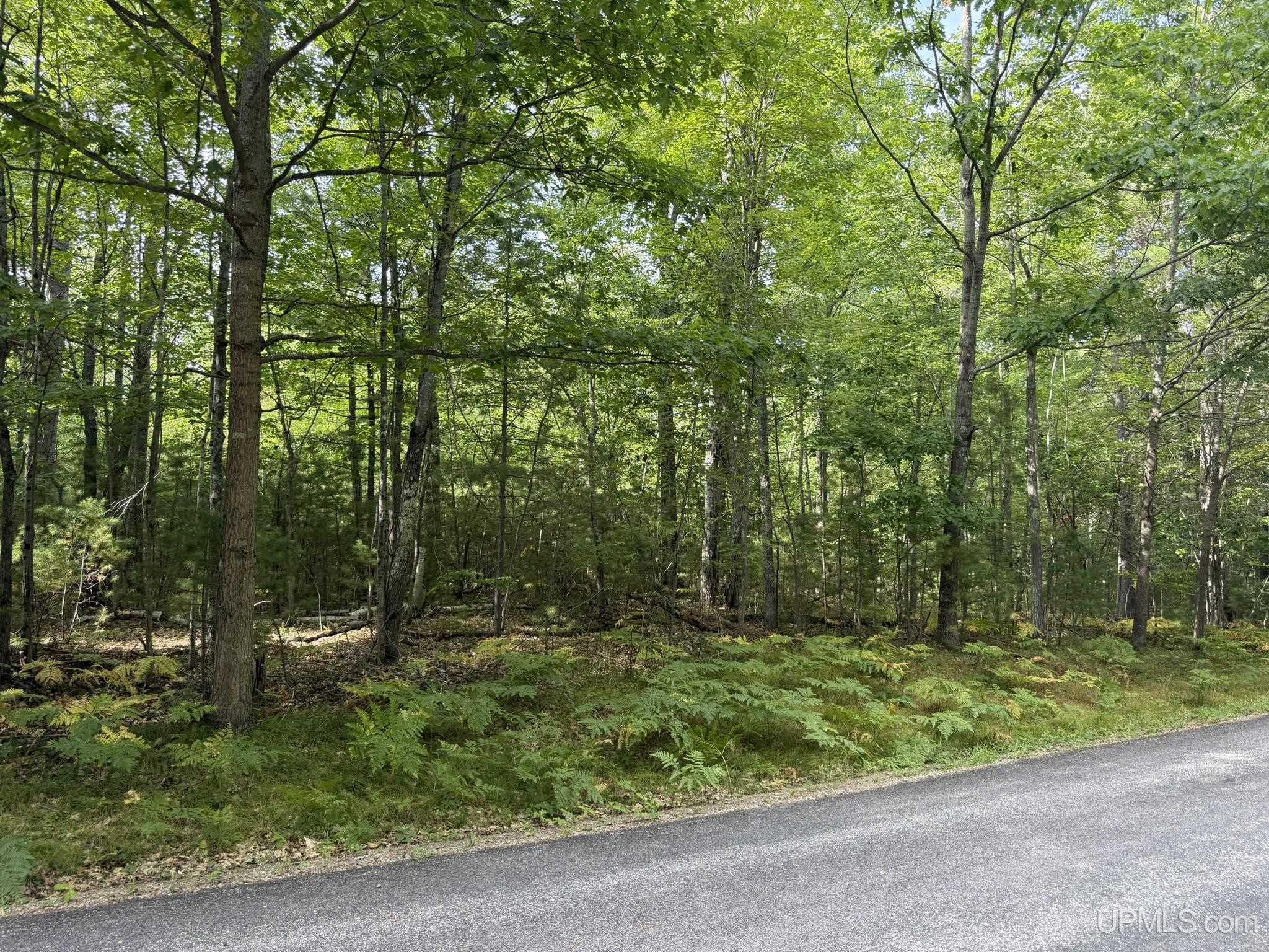 Tbd Silver Shore Lane Property Photo 20