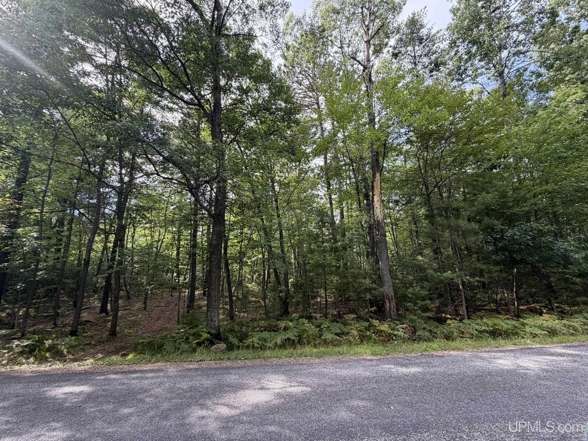 Tbd Silver Shore Lane Property Photo 21