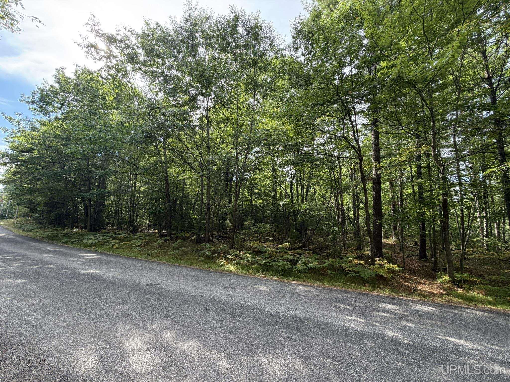 Tbd Silver Shore Lane Property Photo 22
