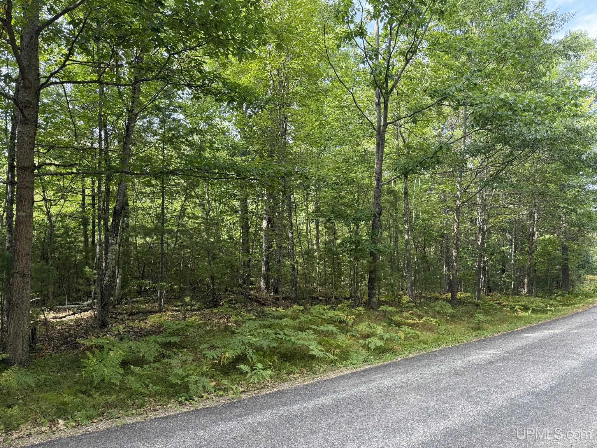 Tbd Silver Shore Lane Property Photo 23