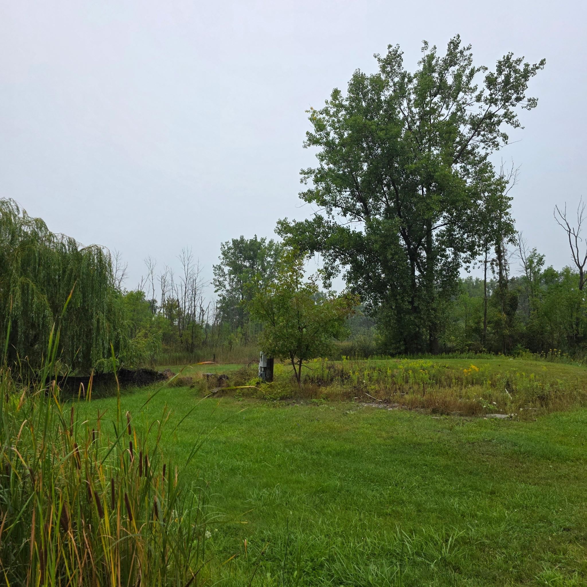 2963 E Pinconning Rd Road Property Photo 1