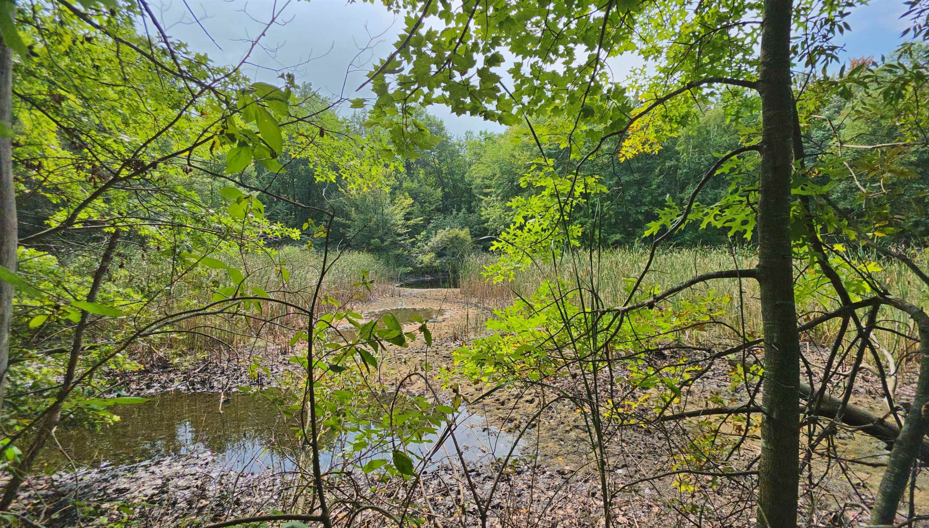 14228 Bishop Road Property Photo 1