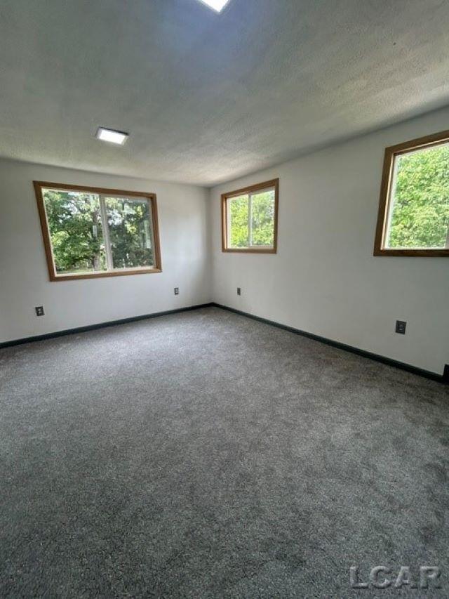 10505 Hall Road Property Photo 27